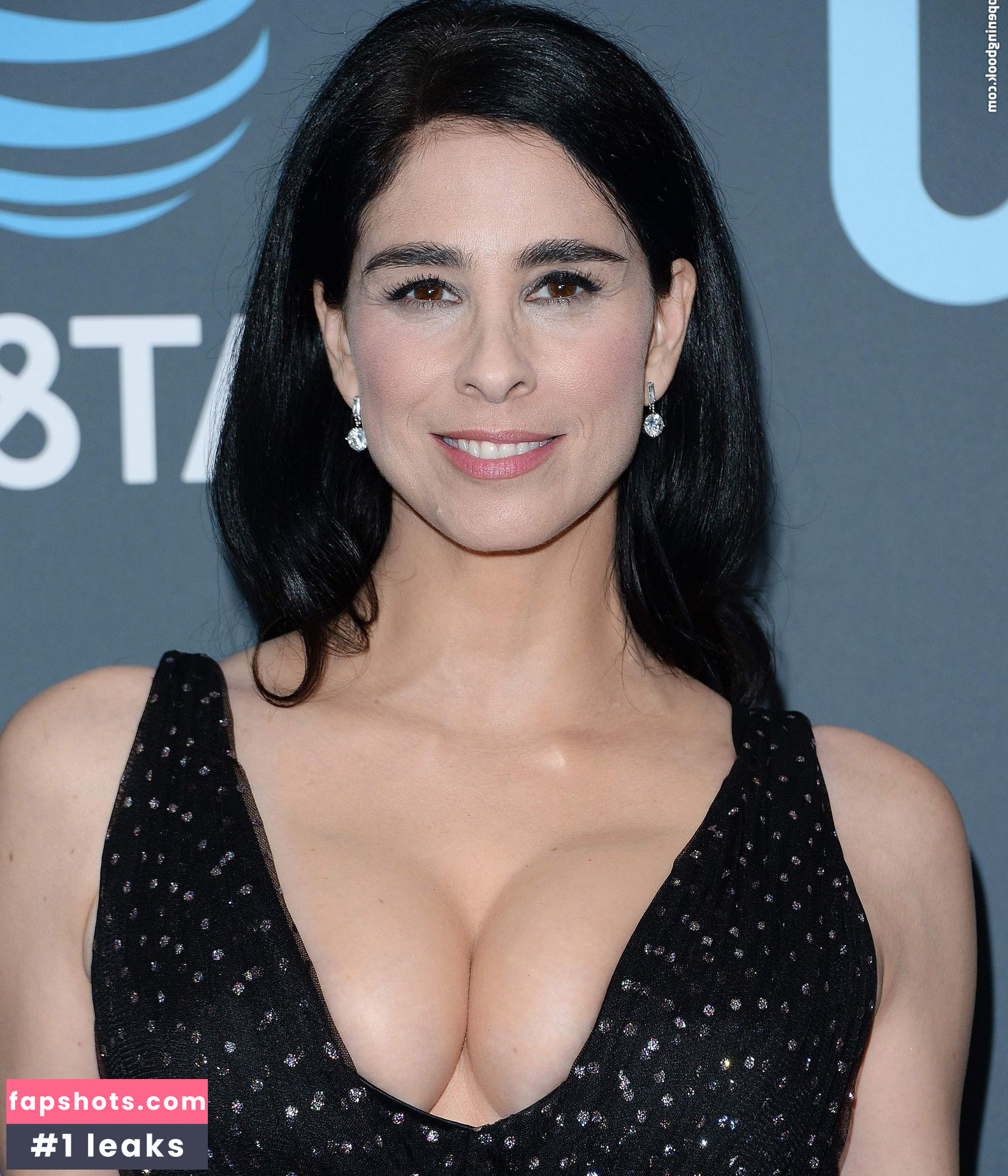 Sarah Silverman gallery photo #69