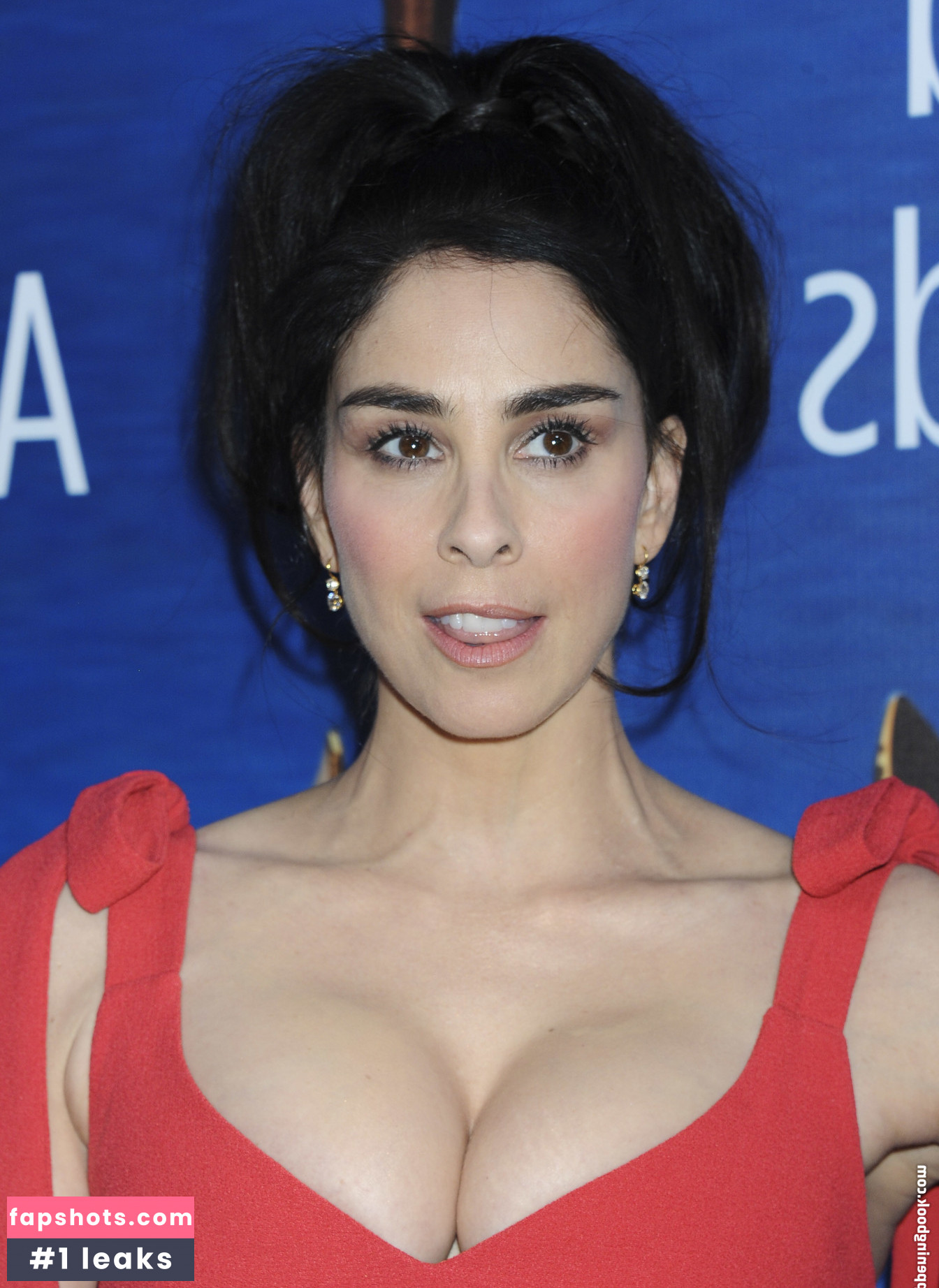 Sarah Silverman gallery photo #79