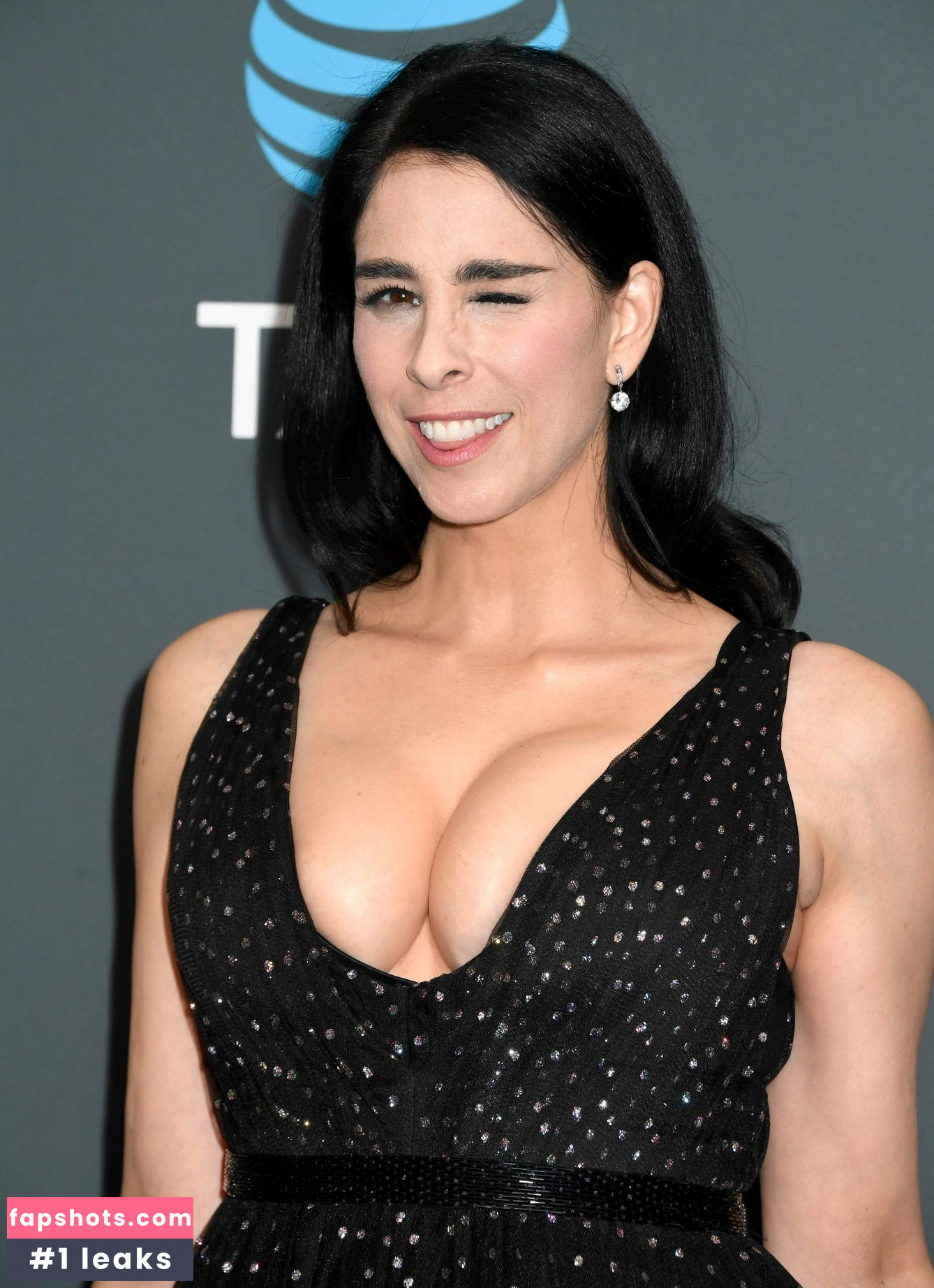 Sarah Silverman gallery photo #80
