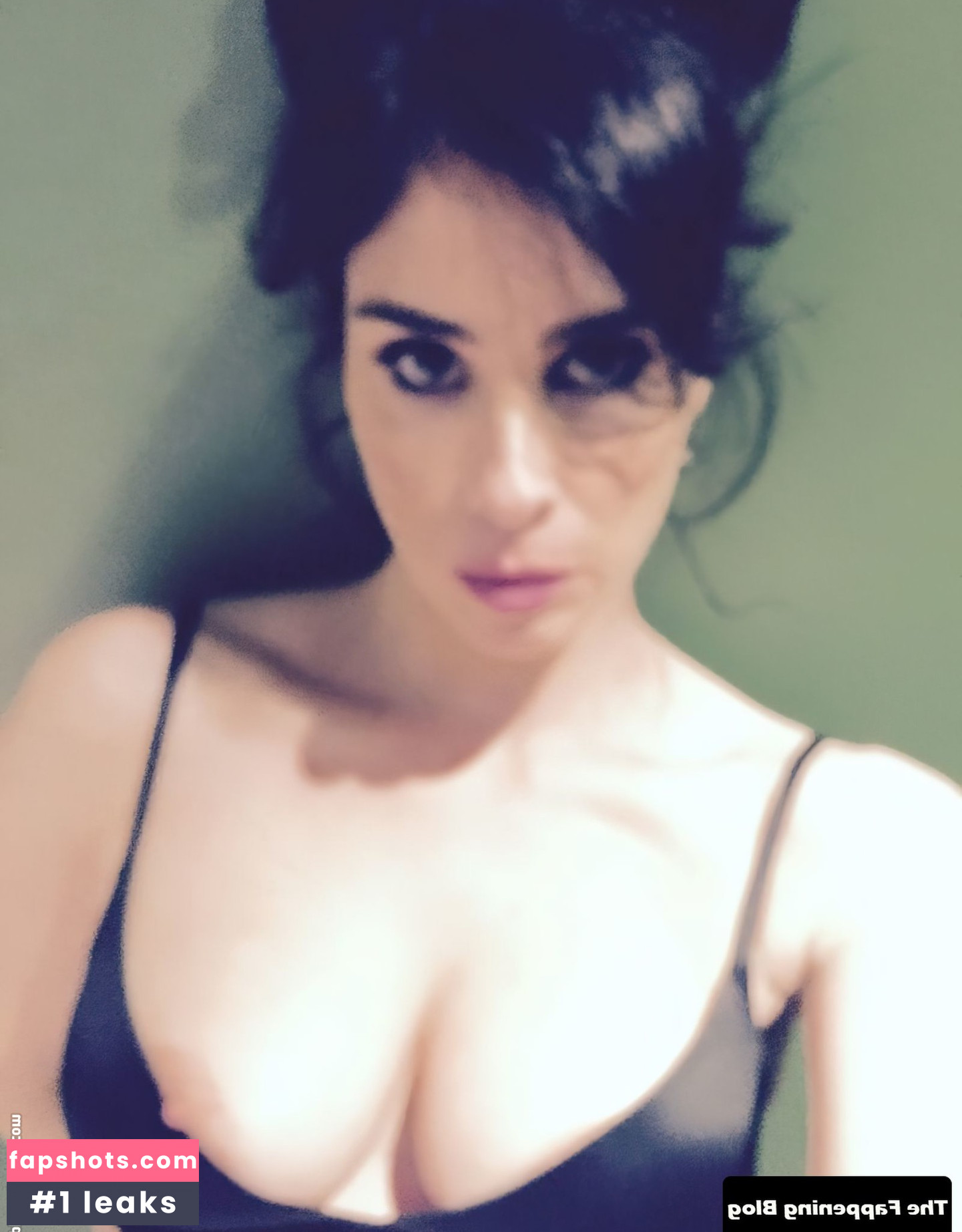 Sarah Silverman gallery photo #100