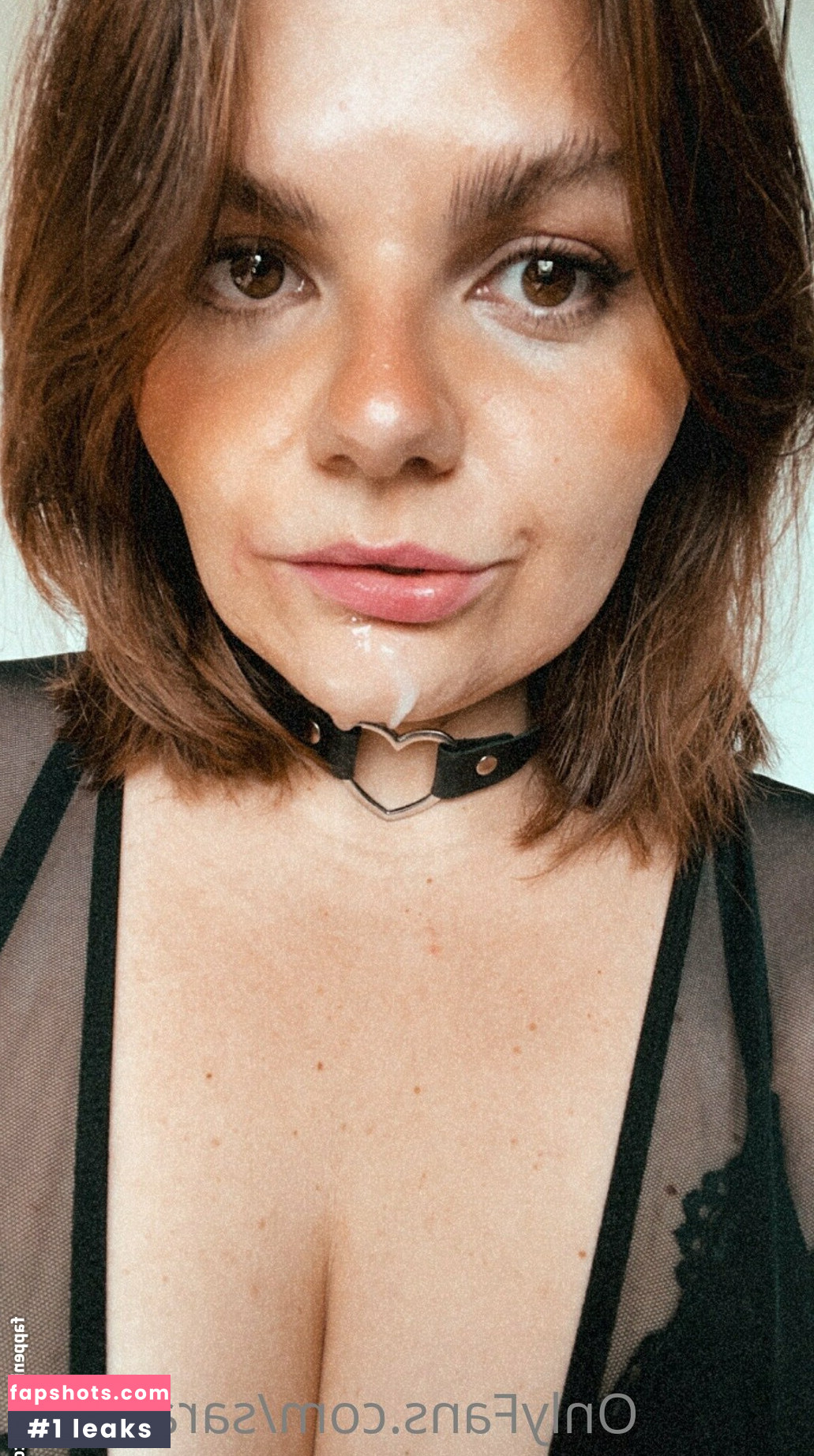 sarahsota gallery photo #10