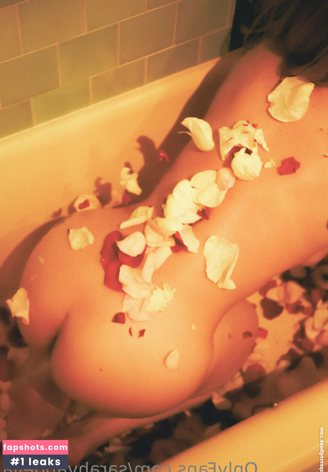 sarahvandella Nude Leaks OnlyFans Photos #49 - LeakJerk