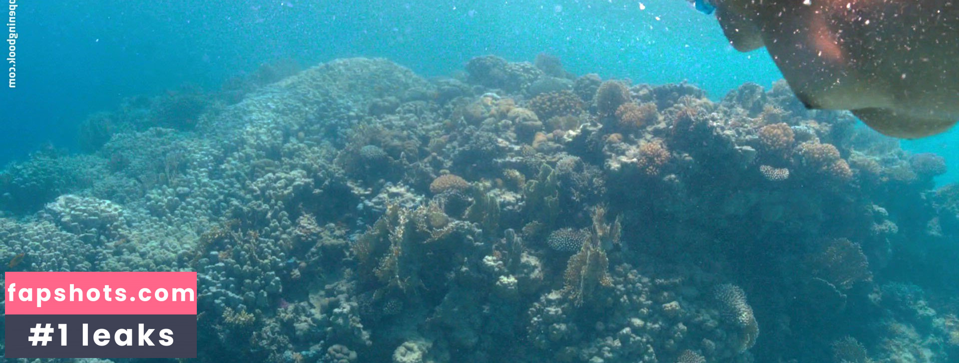 Sarita Choudhury gallery photo #4