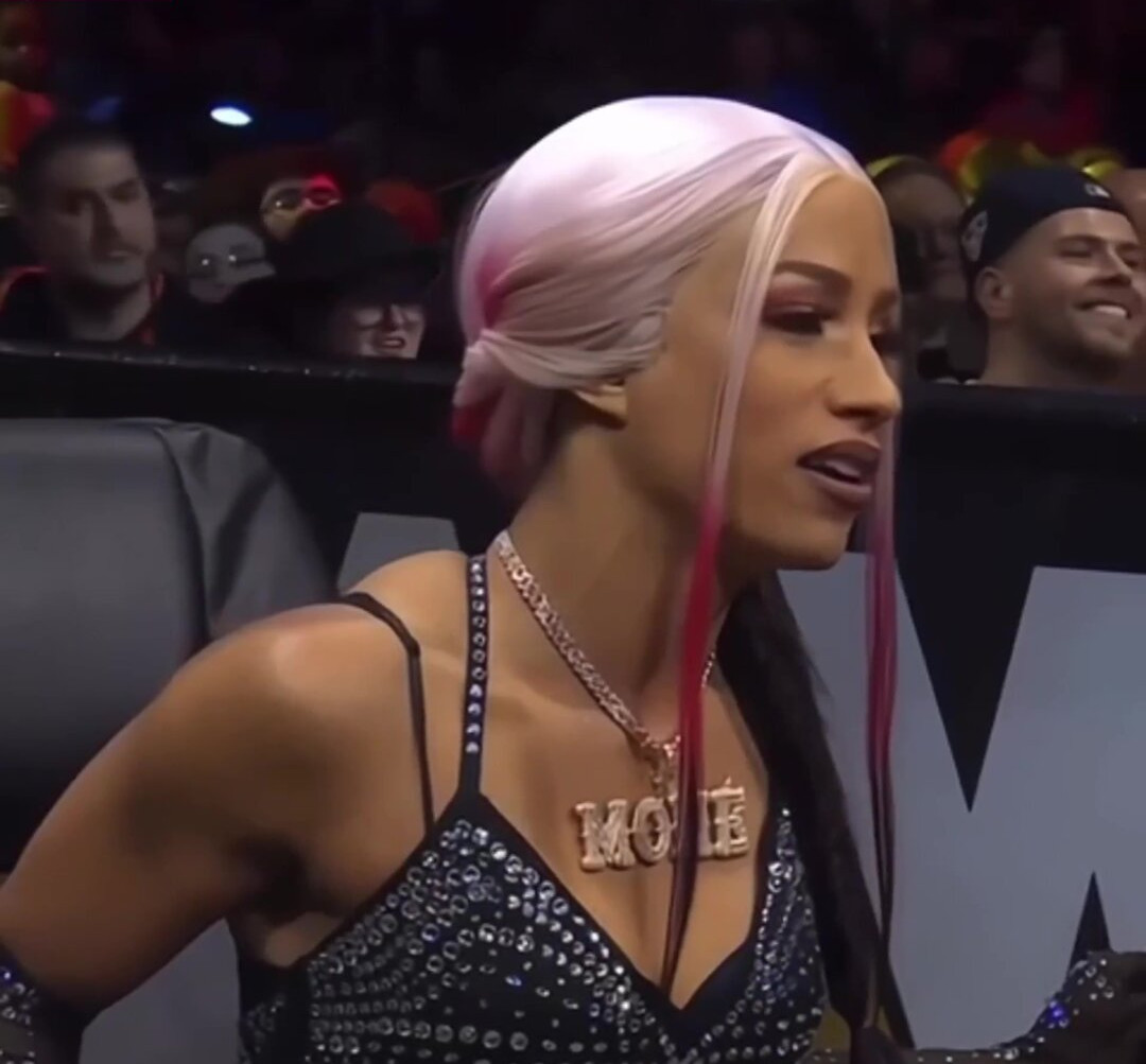 sasha-banks-1 gallery photo #447