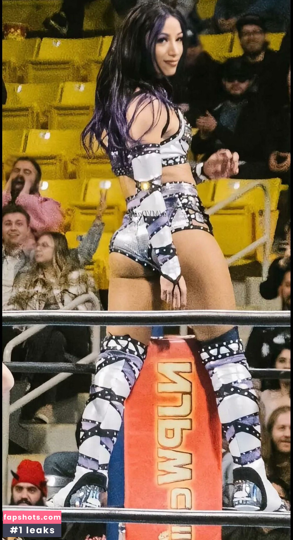 Sasha Banks Nacktheit OnlyFans Fotos #198 - Fapshots