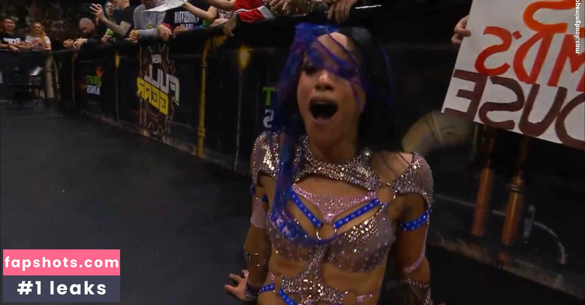 Sasha Banks Nacktheit OnlyFans Fotos #209 - Fapshots