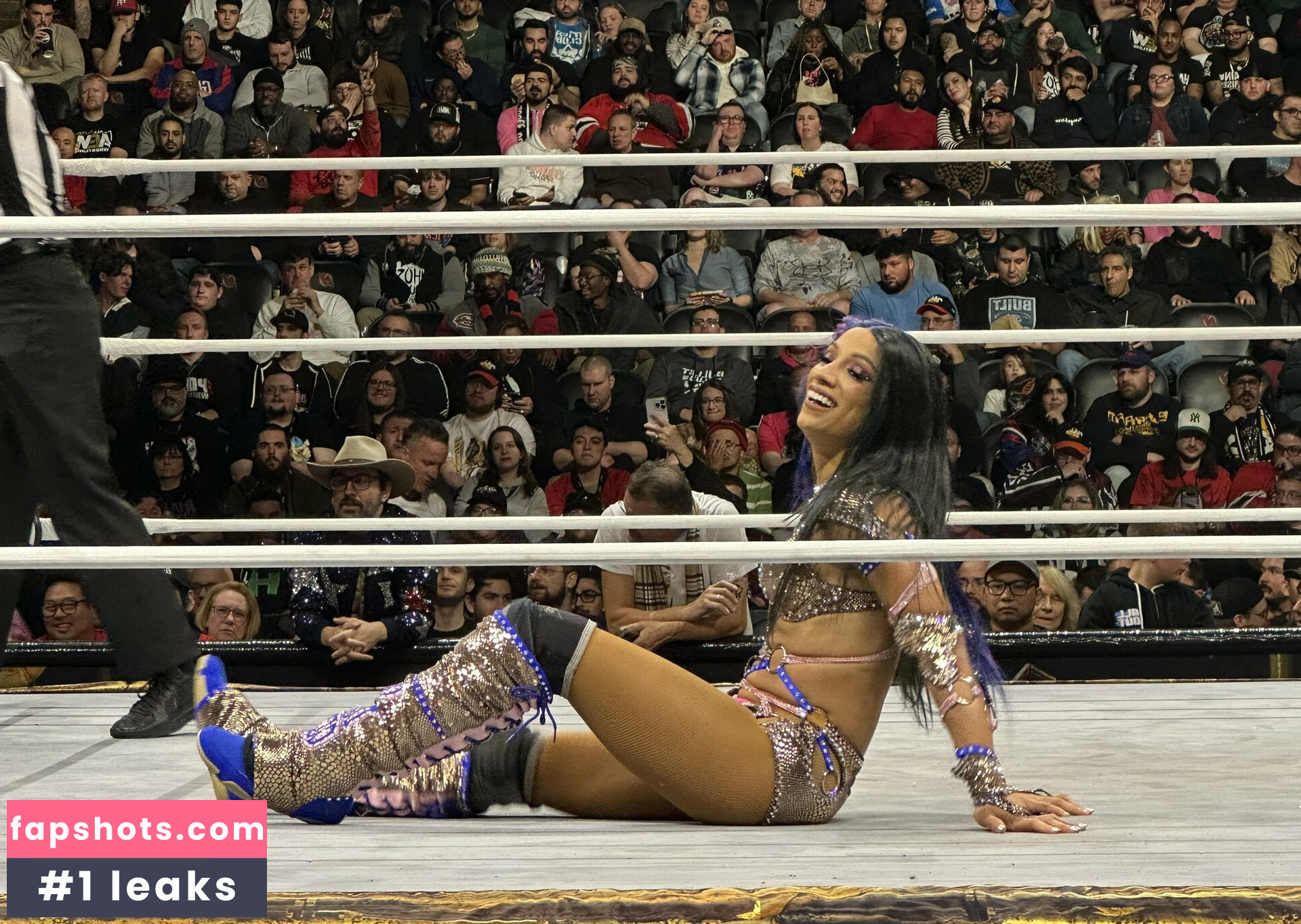 Sasha Banks Nacktheit OnlyFans Fotos #211 - Fapshots