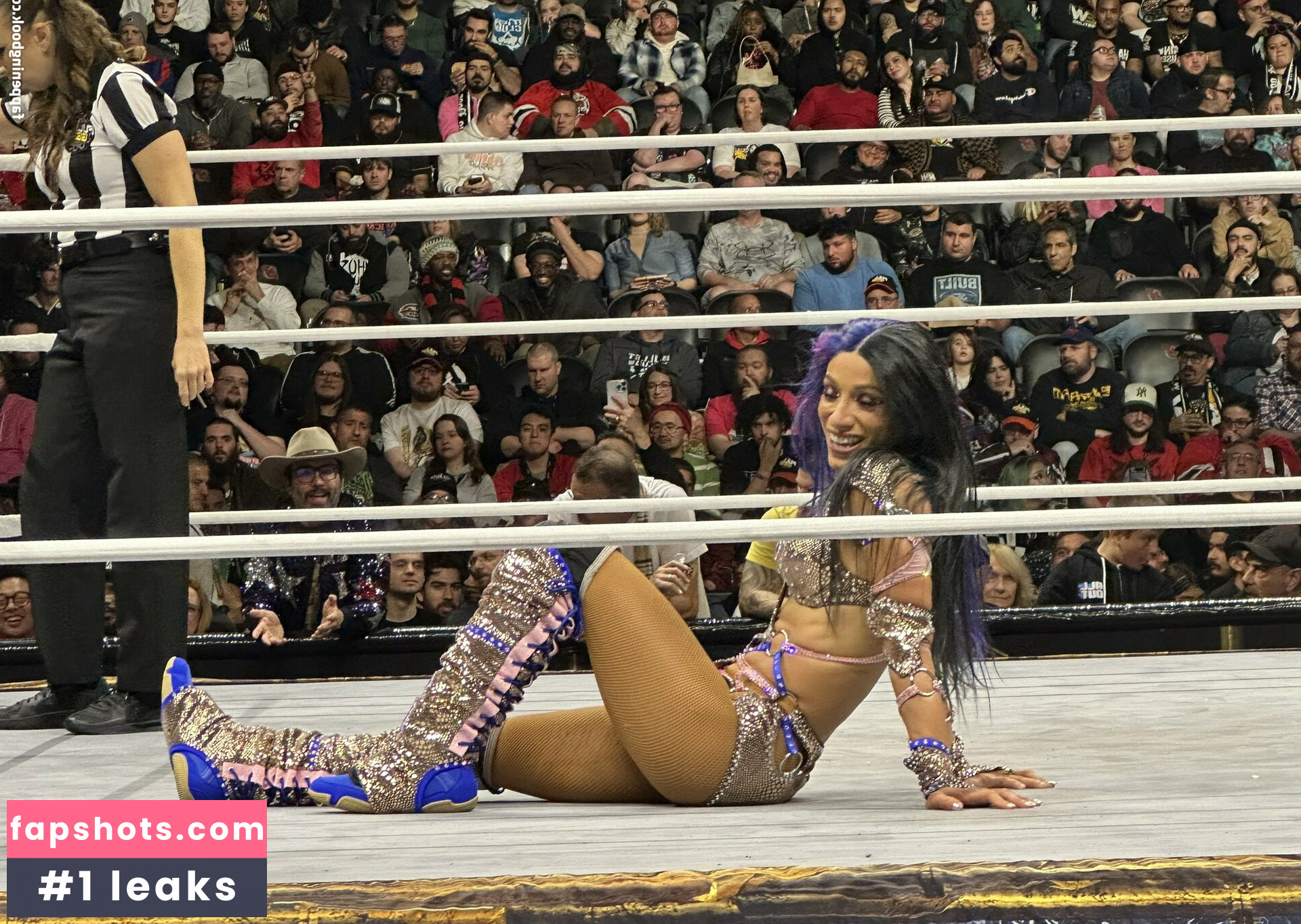 Sasha Banks Nacktheit OnlyFans Fotos #212 - Fapshots