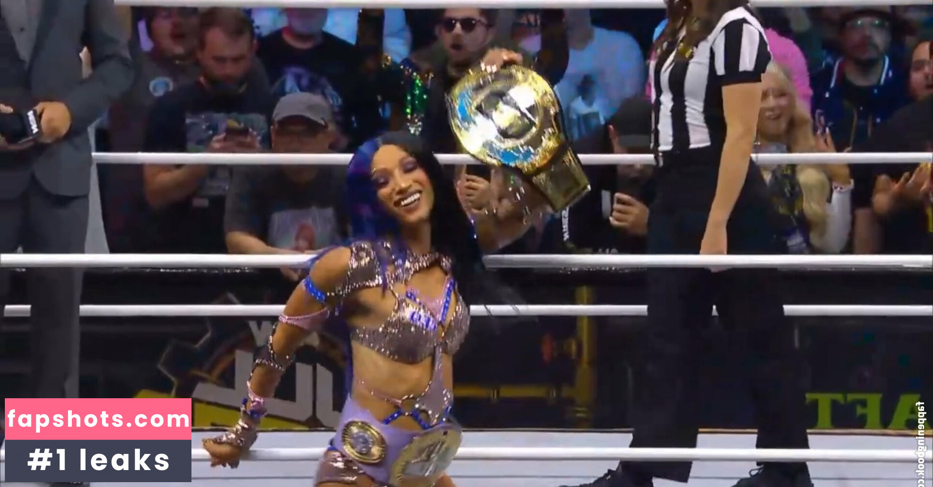 Sasha Banks Nacktheit OnlyFans Fotos #219 - Fapshots