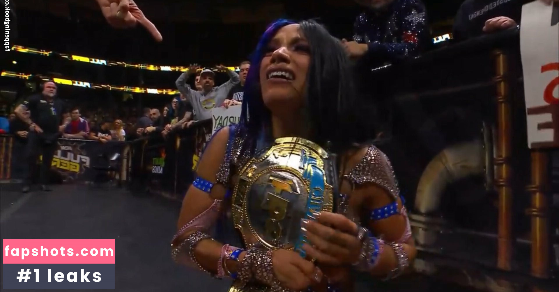 Sasha Banks Nacktheit OnlyFans Fotos #223 - Fapshots