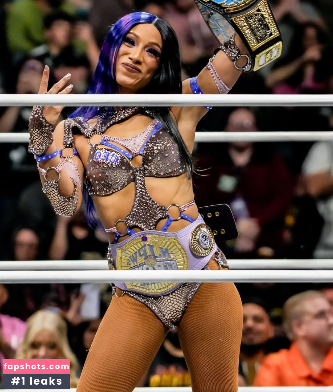 Sasha Banks Nacktheit OnlyFans Fotos #226 - Fapshots