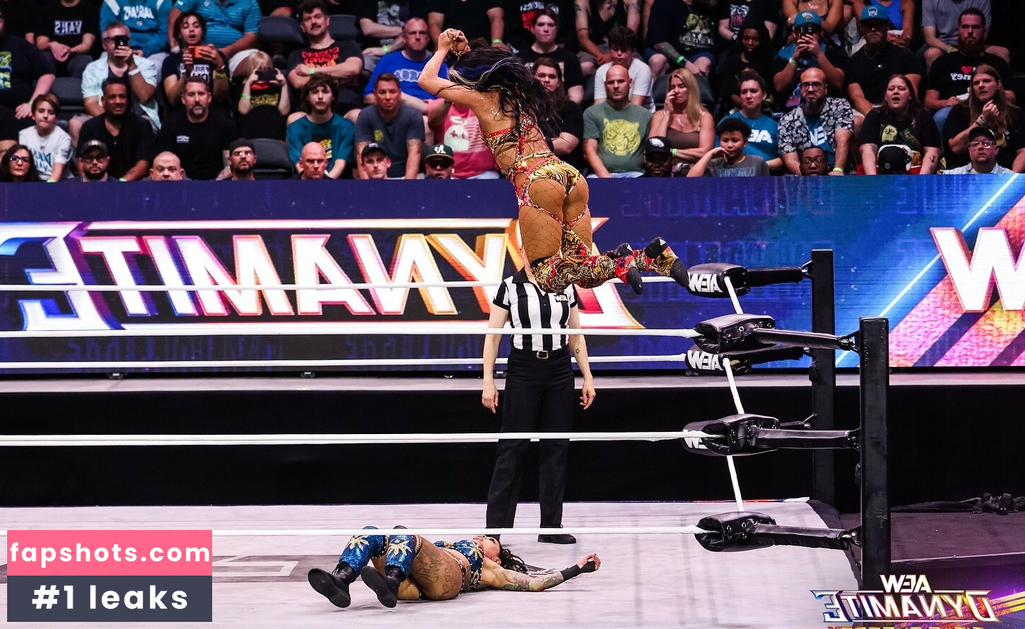 Sasha Banks gallery photo #58