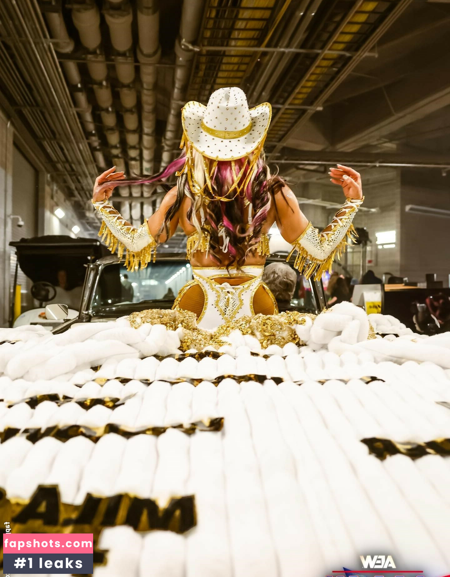 Sasha Banks gallery photo #98