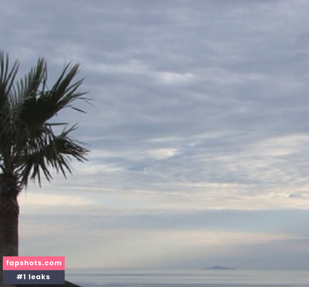 Sasha Grey gallery photo #1065