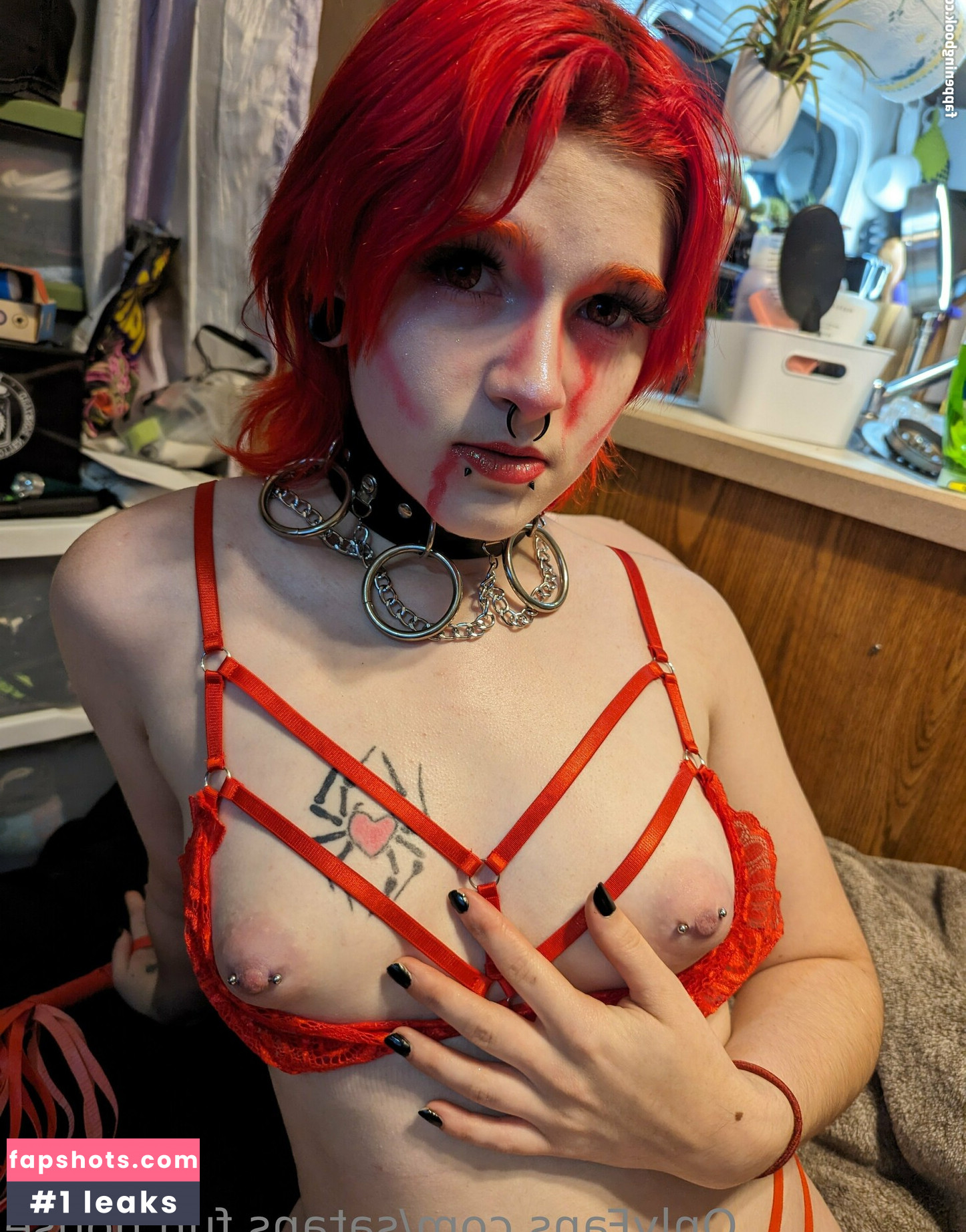 satans.fun.house gallery photo #10