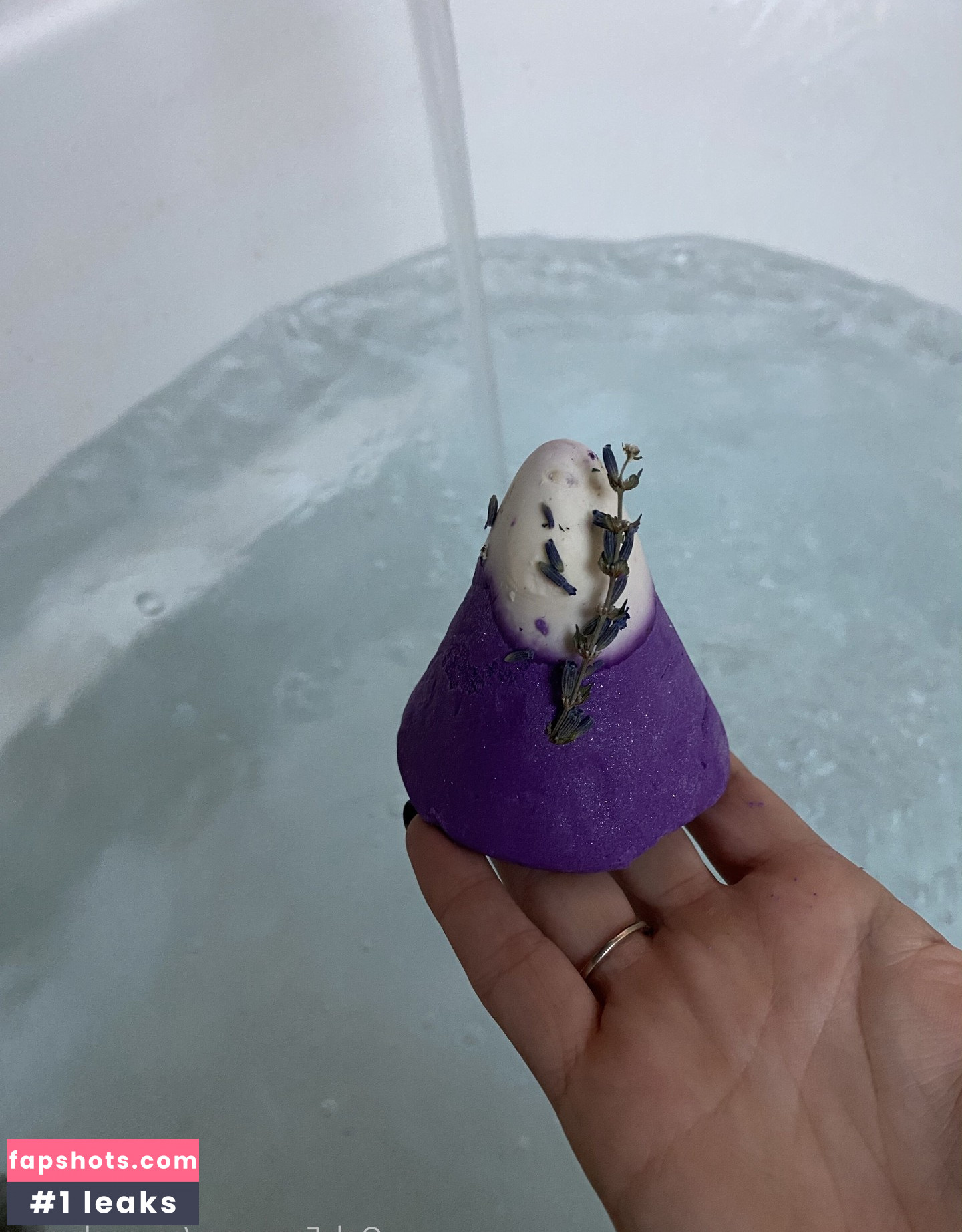 Savannah Roses gallery photo #133