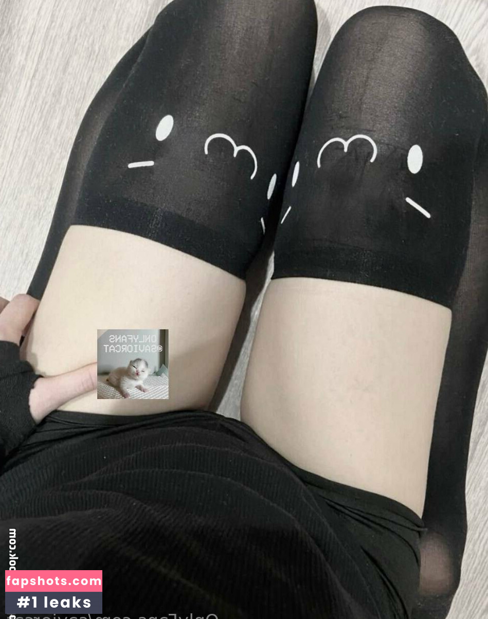 saviorcat gallery photo #11