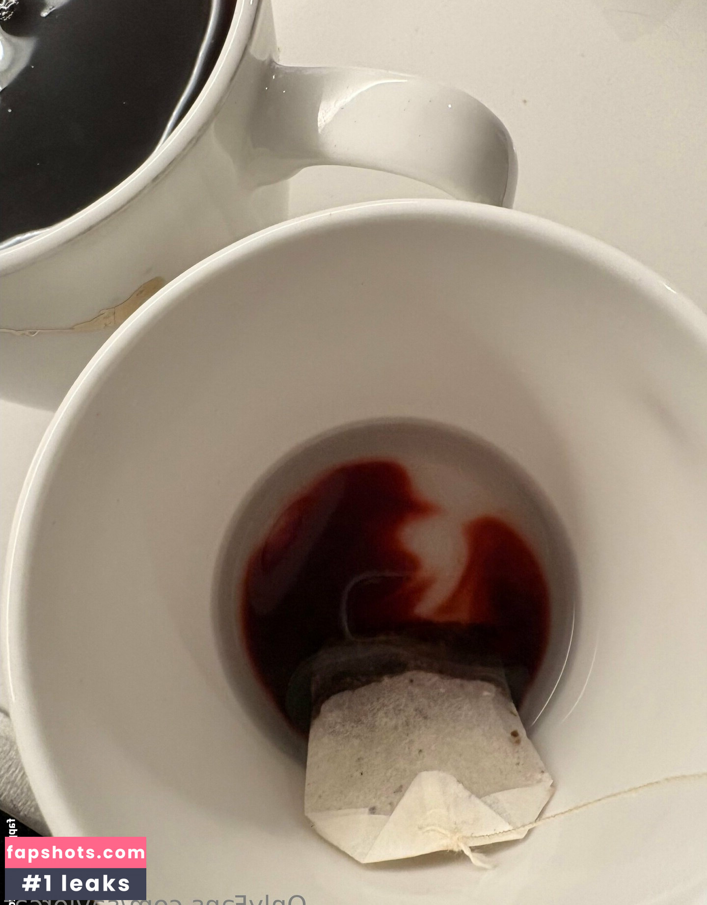 saviorcat gallery photo #3