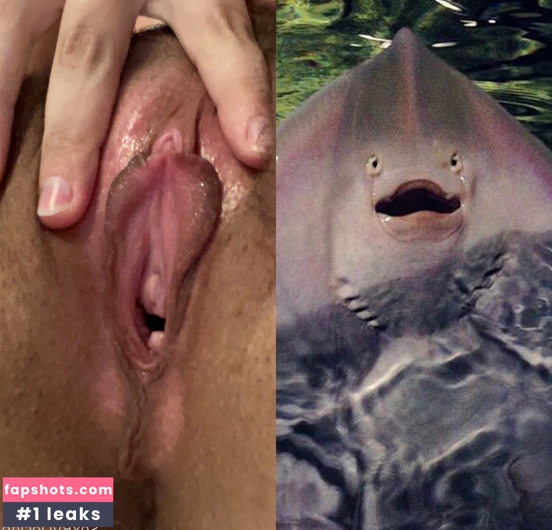 savvysuxx gallery photo #45