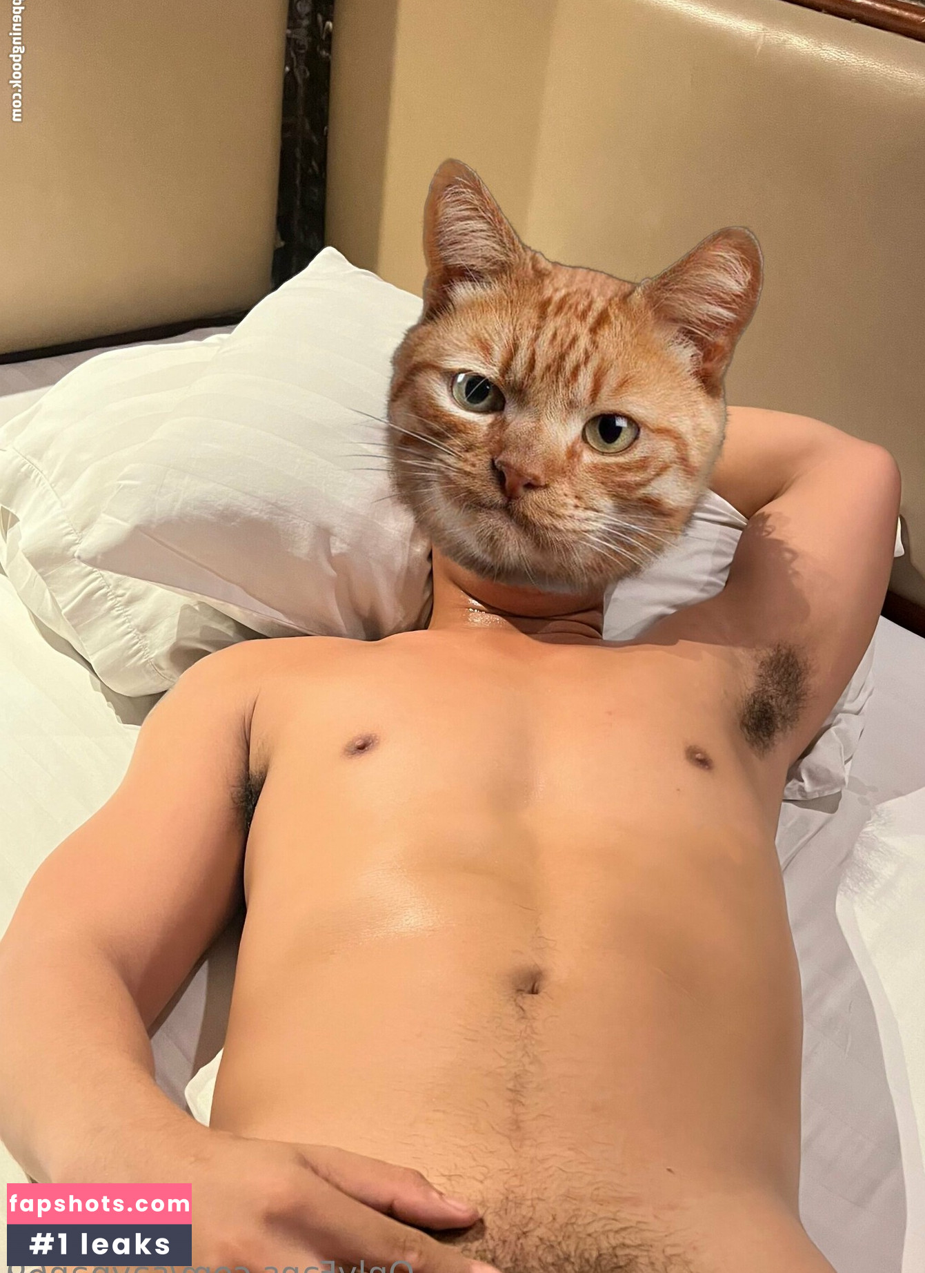 saypan69 gallery photo #20