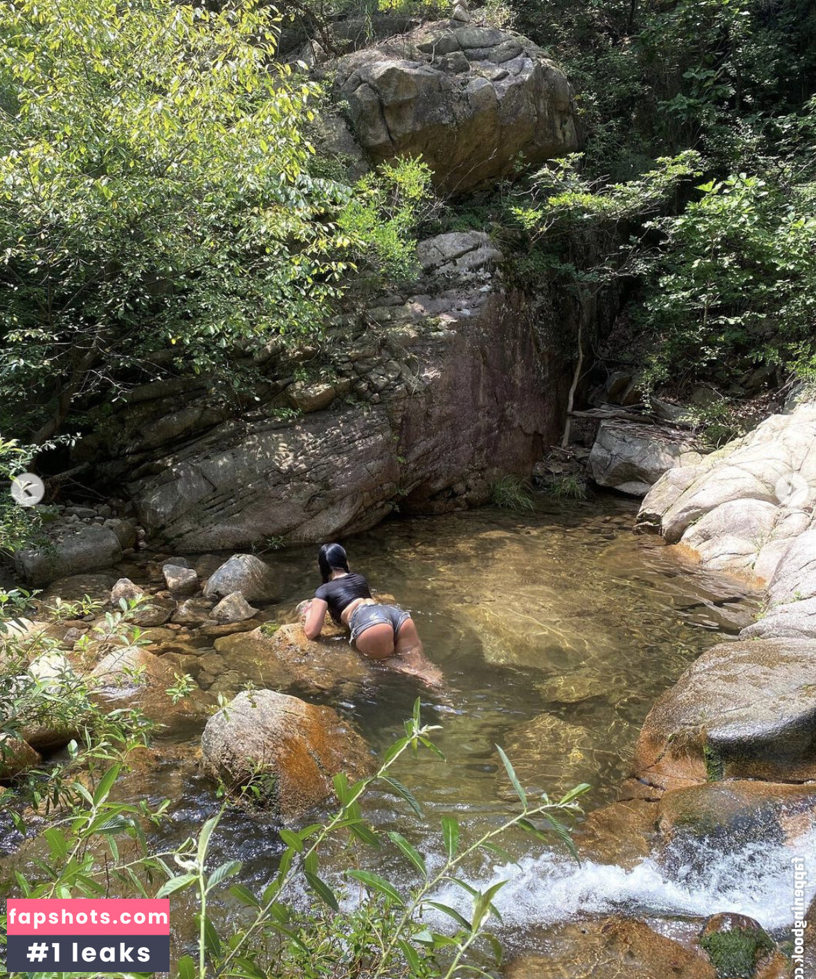 Sc.Pion_ gallery photo #24