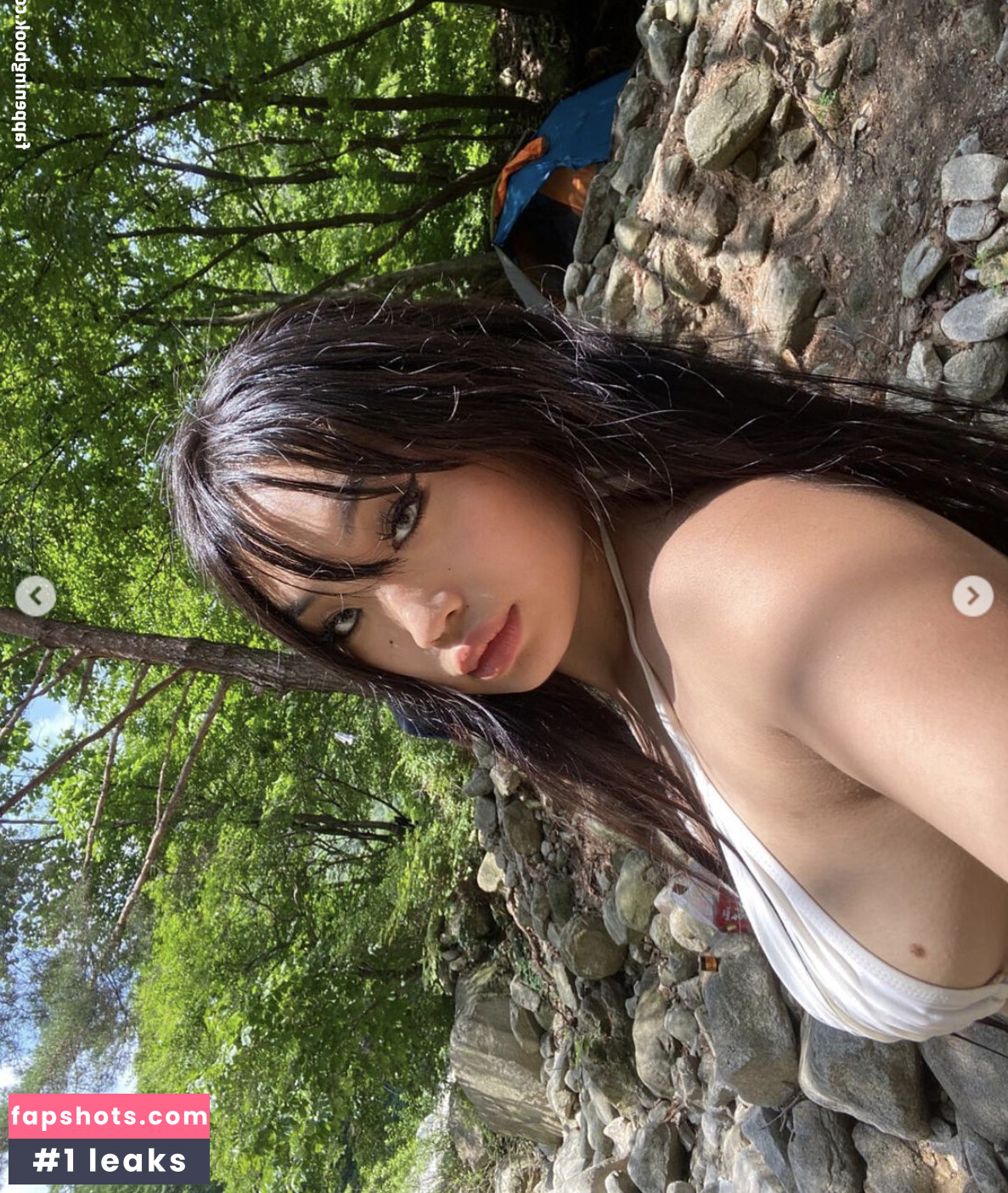 Sc.Pion_ gallery photo #26