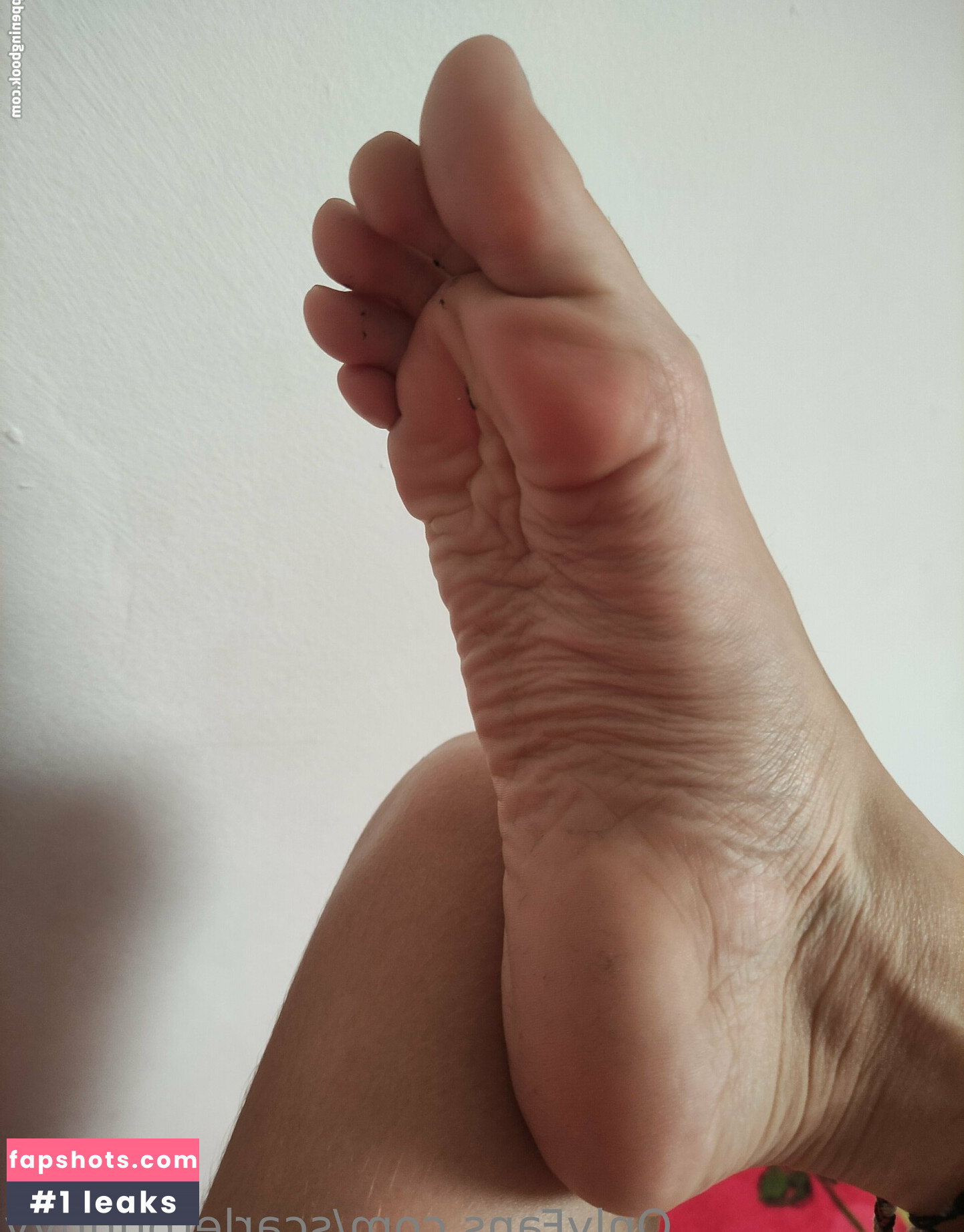 scarletbunnyy gallery photo #16