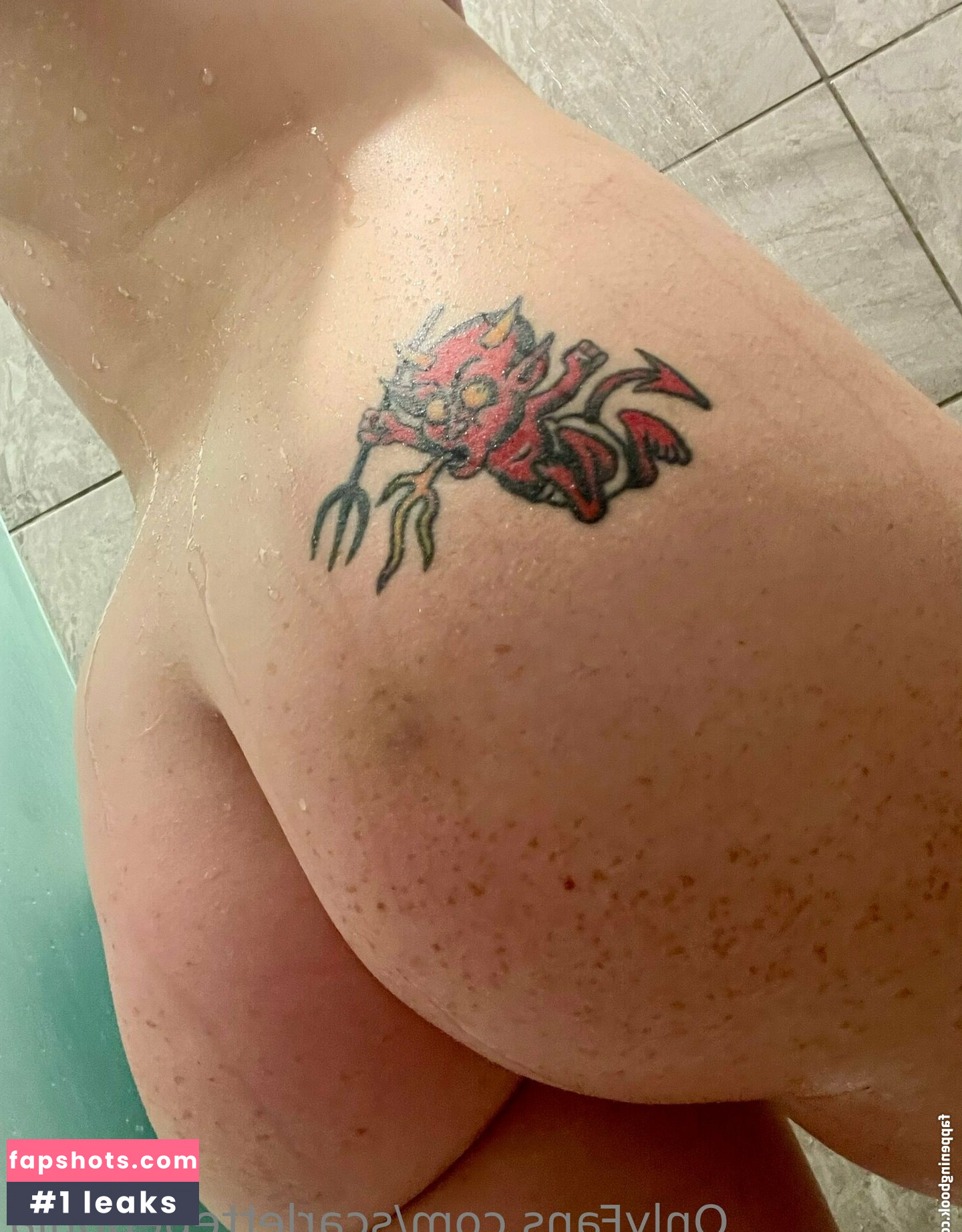 Scarlettebegonia gallery photo #4