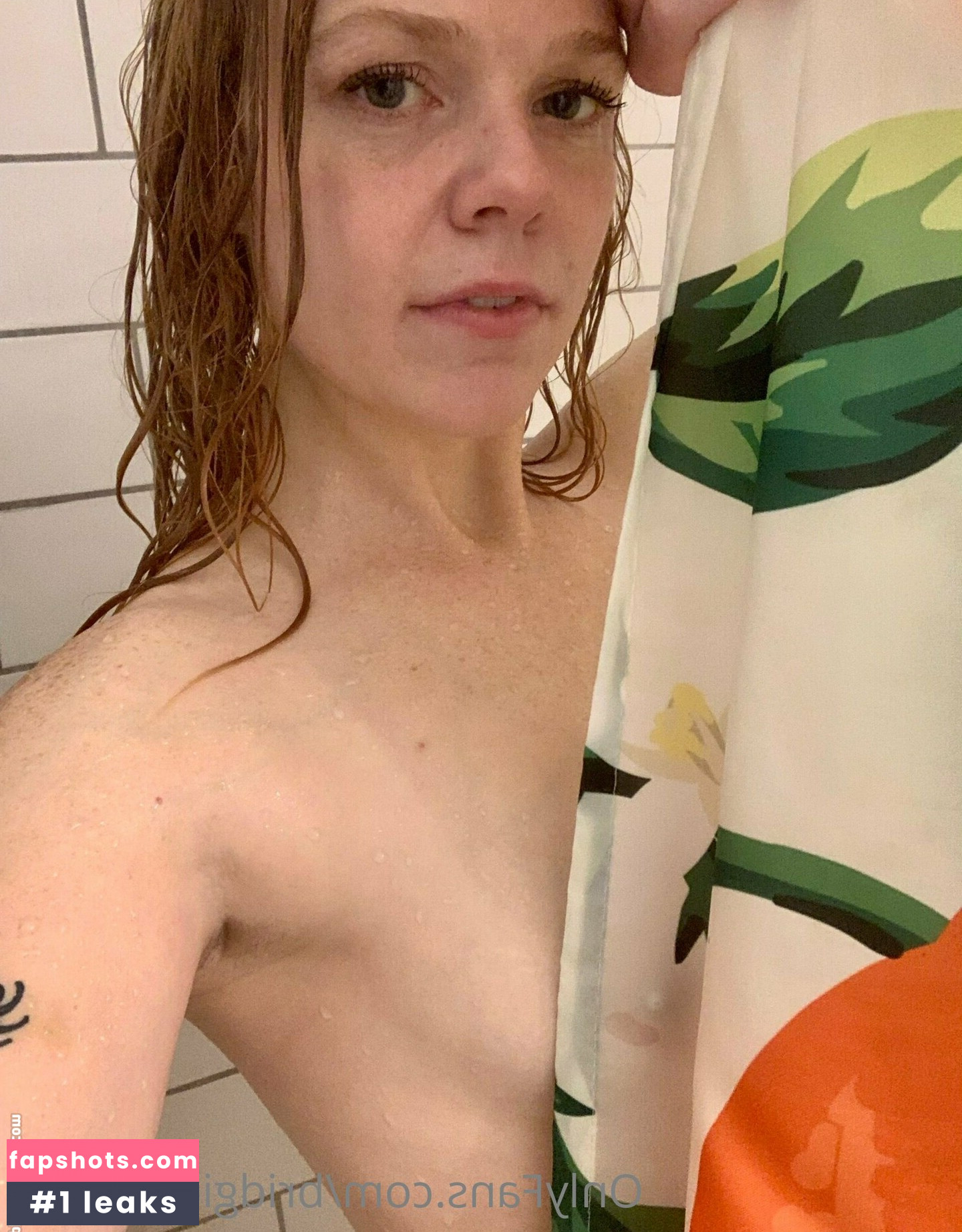 Scarlettebegonia gallery photo #6