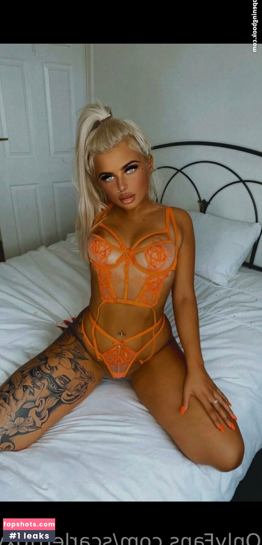 scarlettfoxvip gallery photo #34