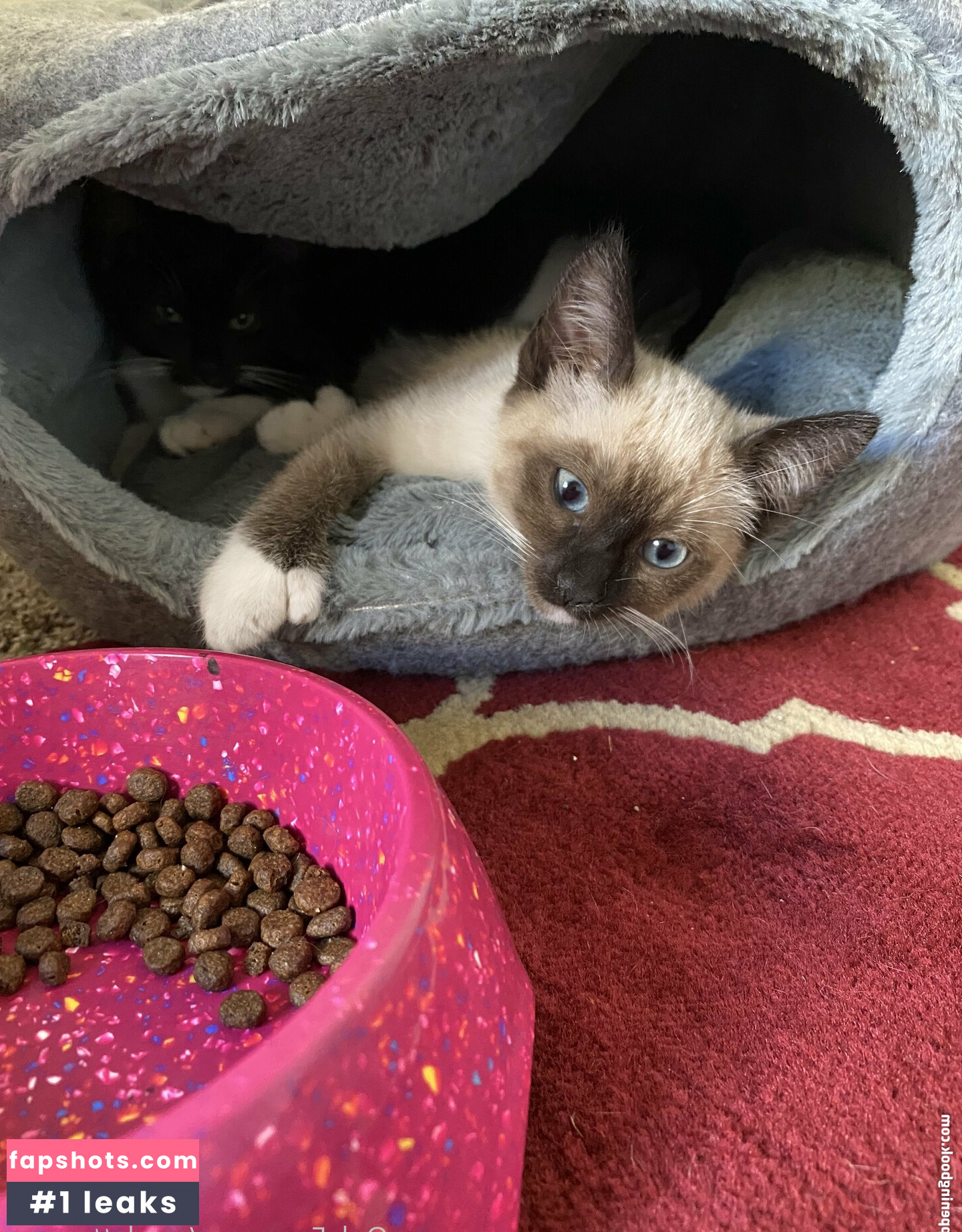 scarlettmnxxx Nude Leaks OnlyFans Photos #17 - LeakJerk