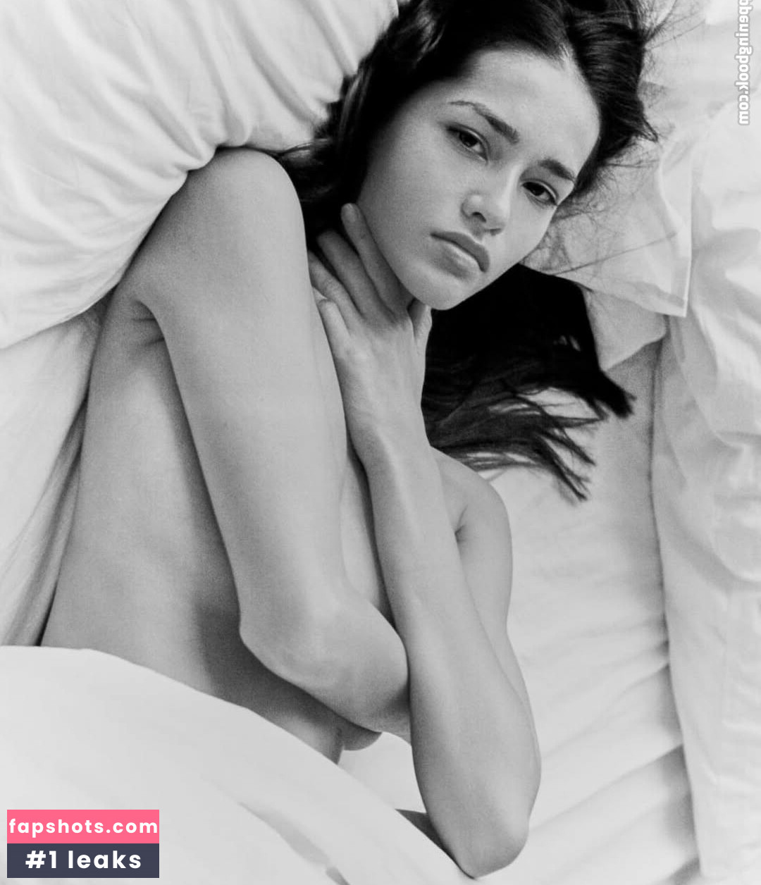 Schassi Nahé úniky fotek pouze od fanoušků #32 - Fapshots