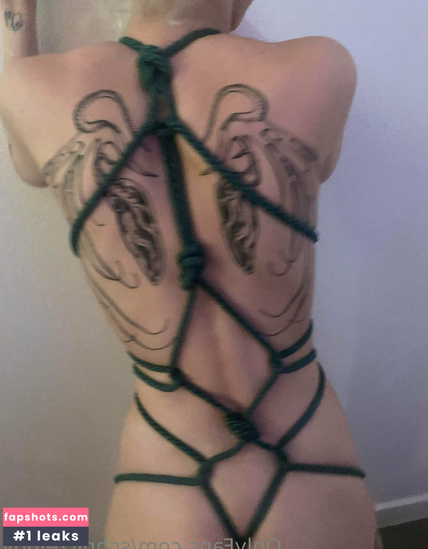 schnitzelbby gallery photo #12