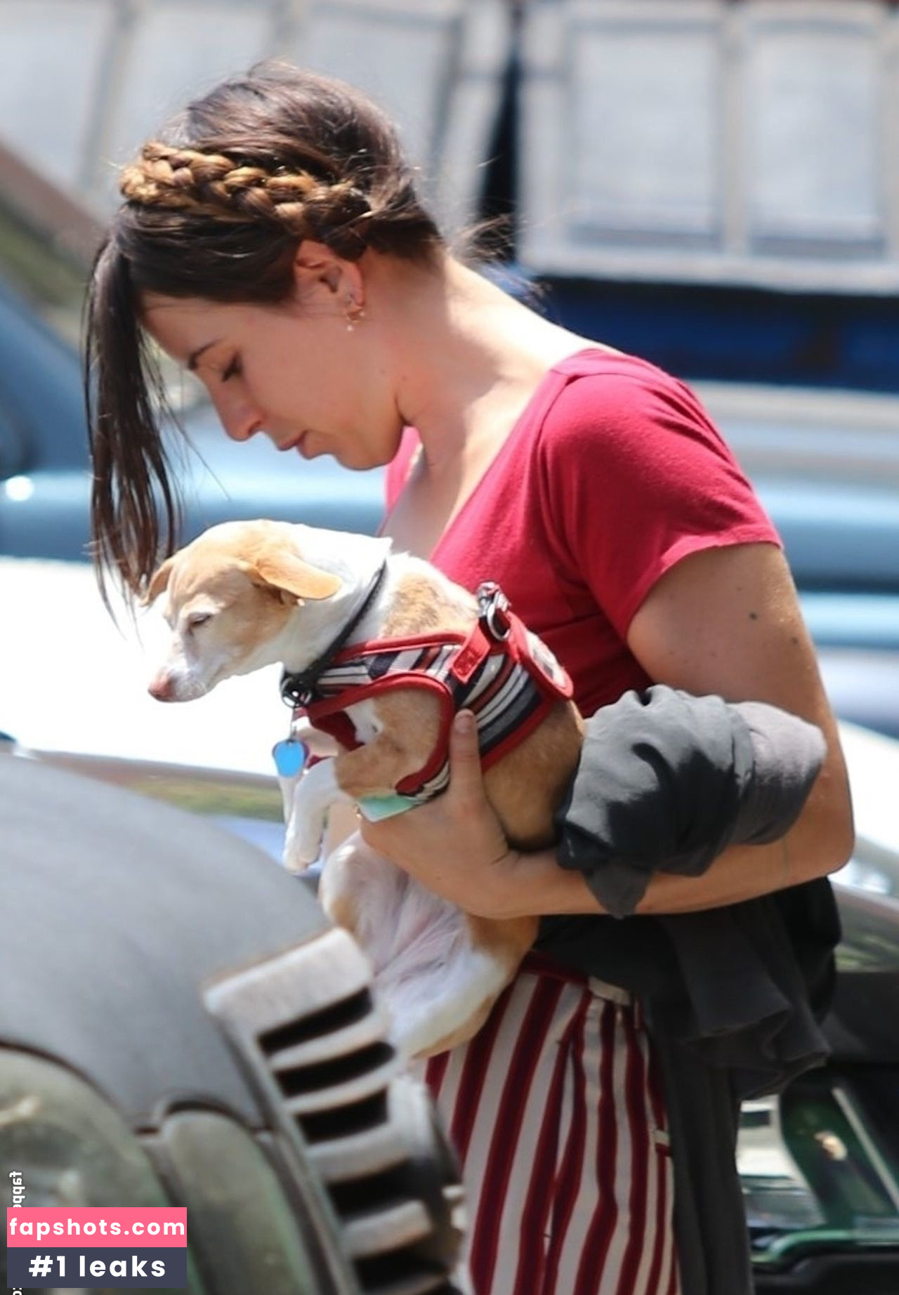 Scout Willis gallery photo #184