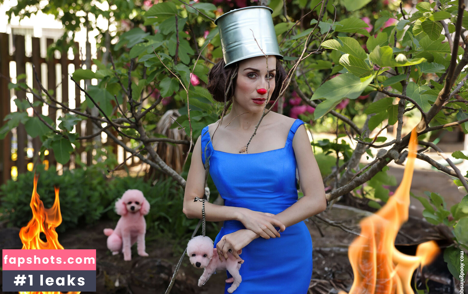 SDFoto gallery photo #10