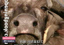 Se Yeon gallery photo #7