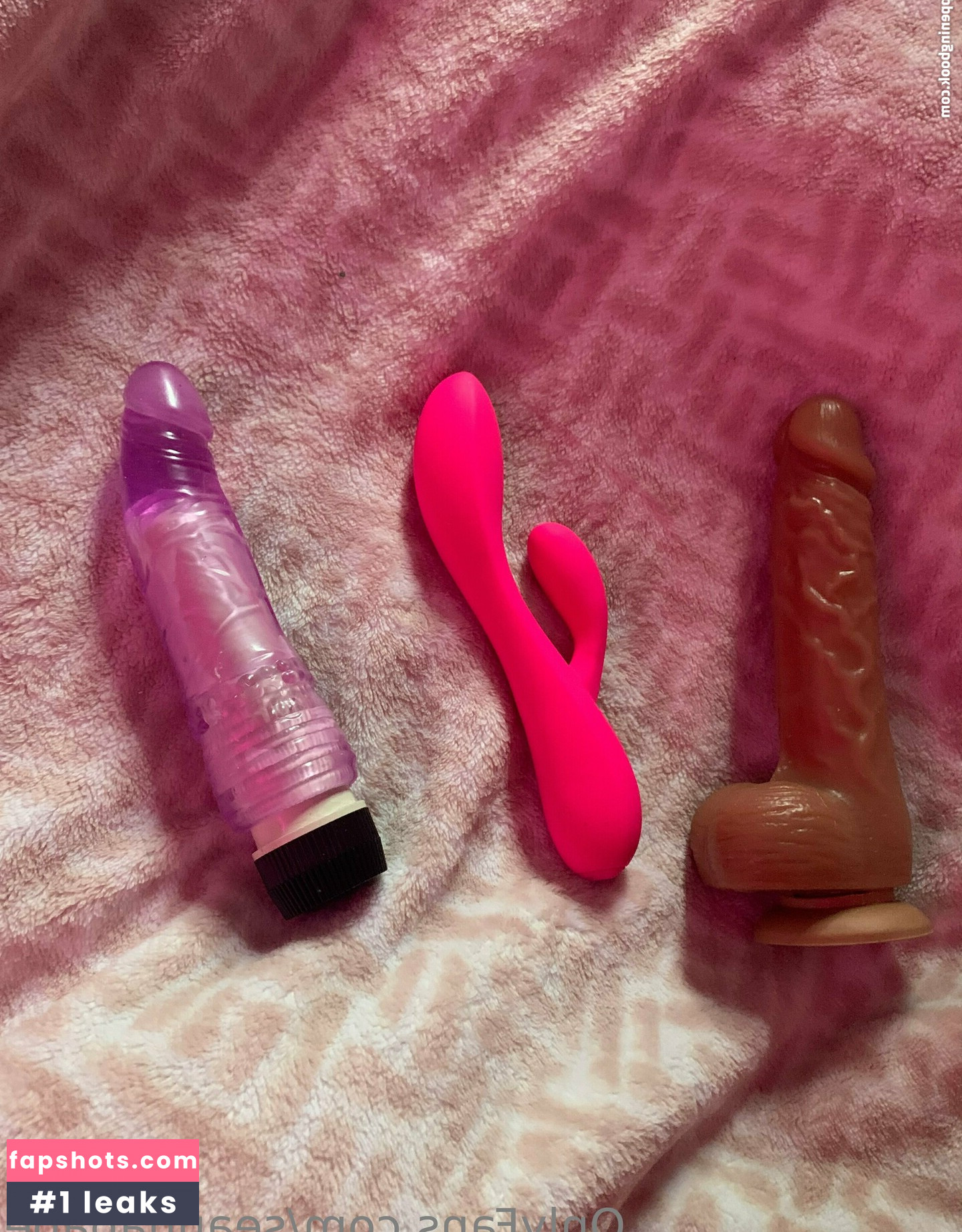 seannababe gallery photo #26