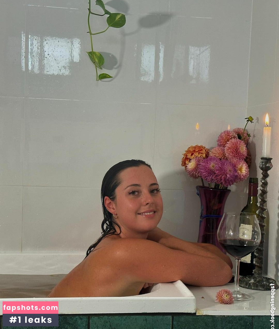 Seashark gallery photo #2