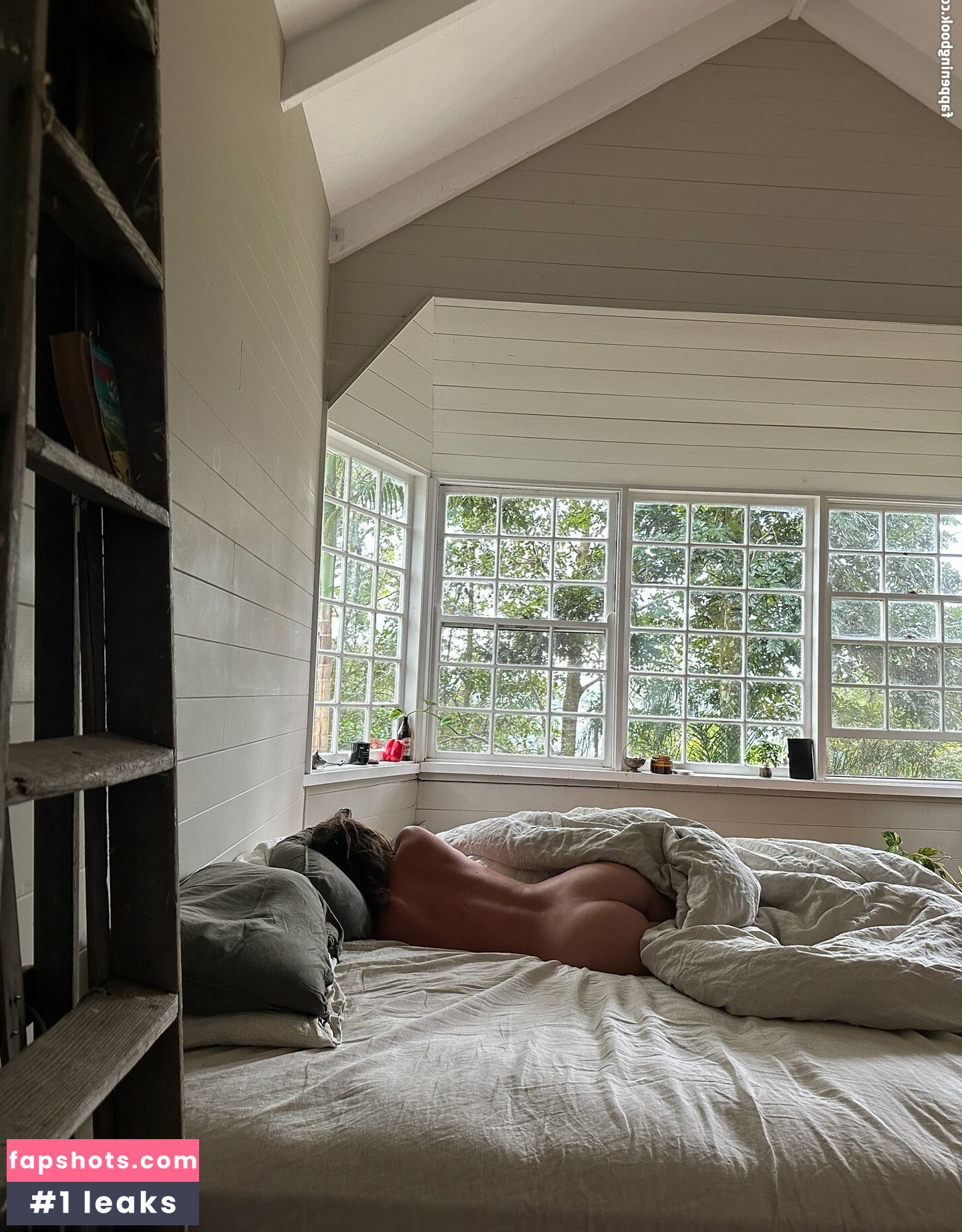 Seashark gallery photo #11