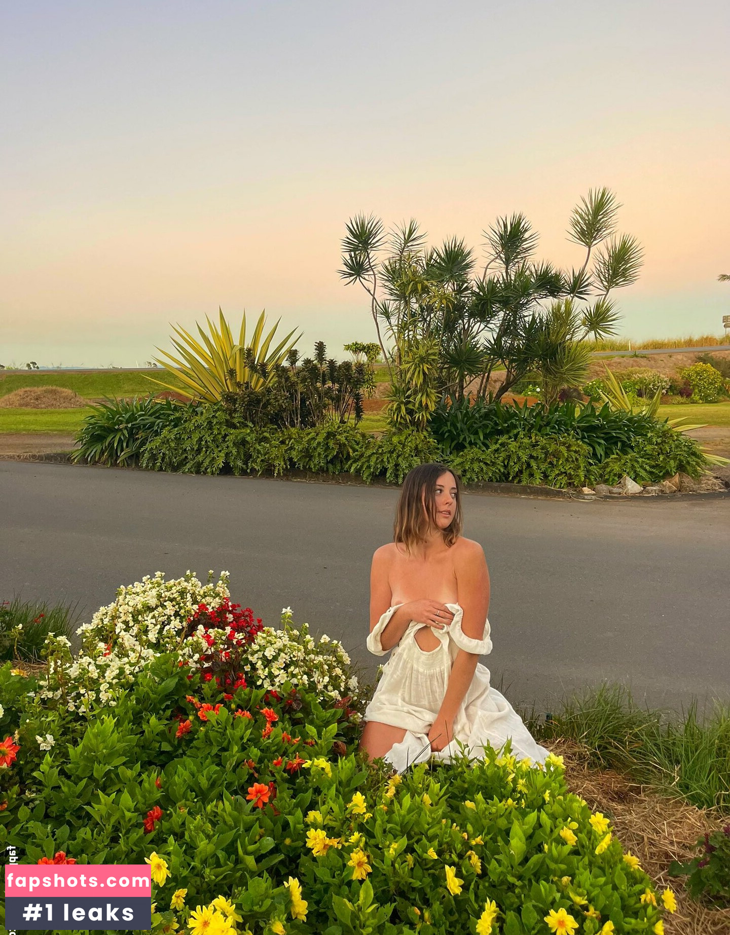 Seashark gallery photo #16