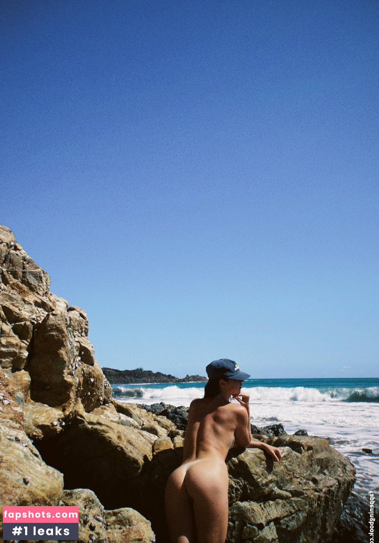 Seashark gallery photo #19