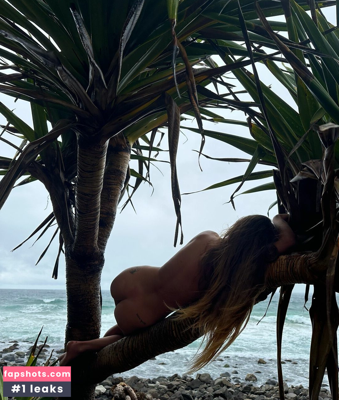 Seashark nude babe gallery