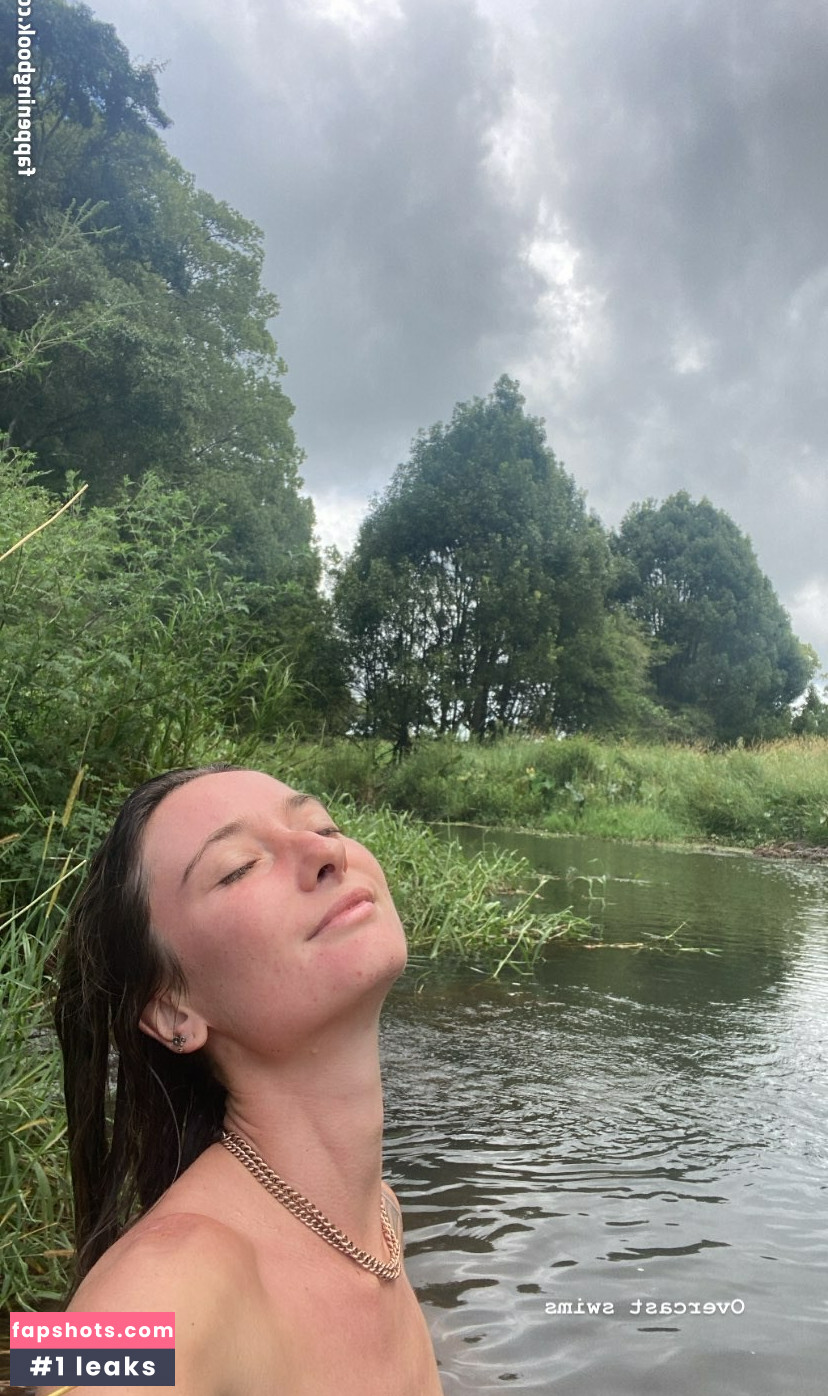 Seashark gallery photo #7