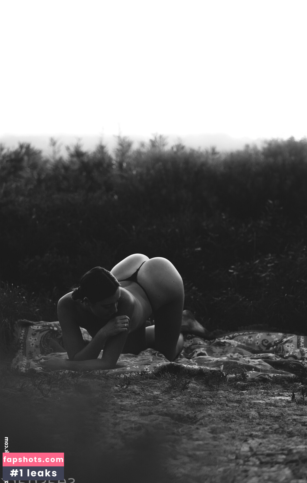 seasharkcensored Nude Leaks OnlyFans Photos #22 - LeakJerk