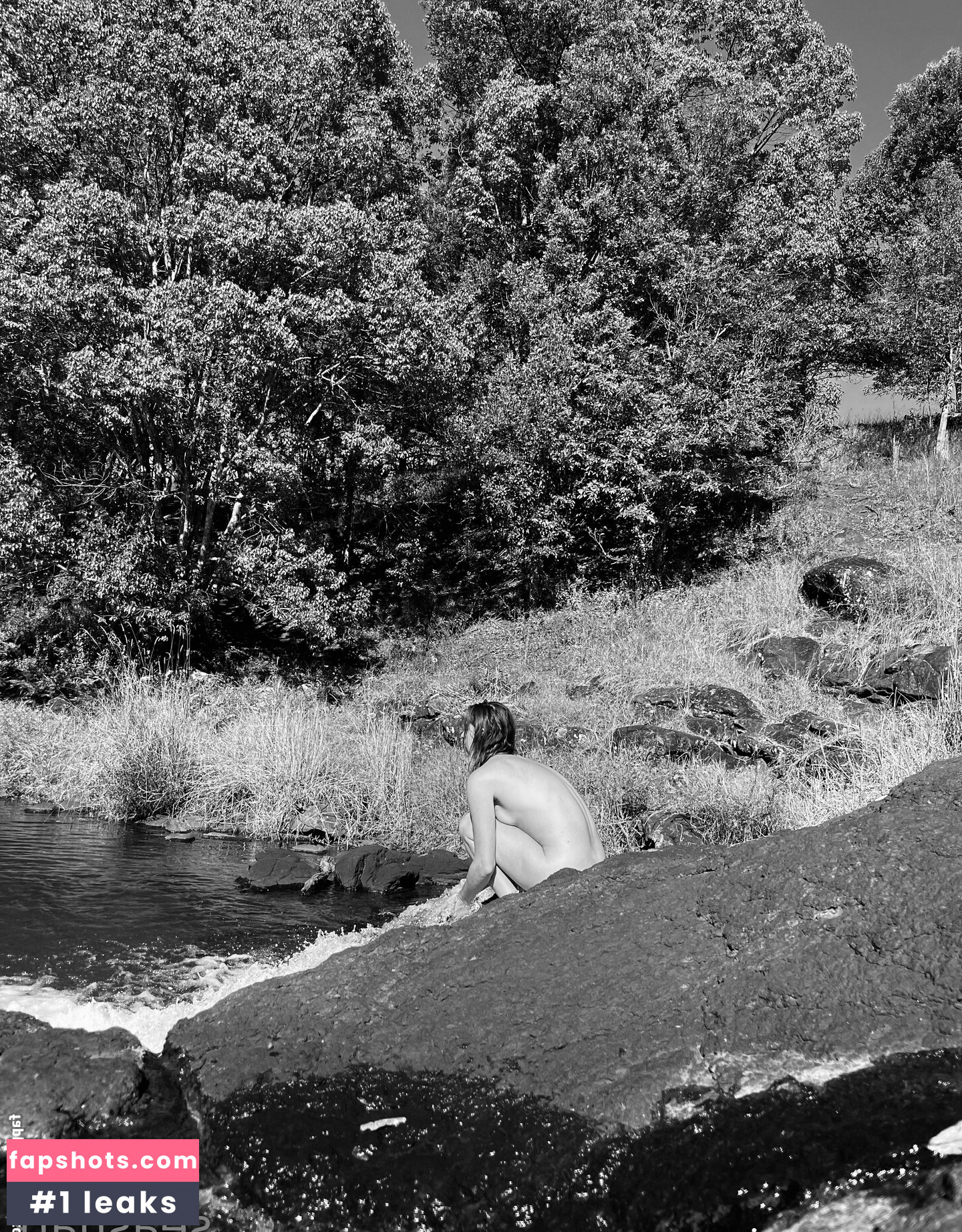 seasharkcensored Nude Leaks OnlyFans Photos #4 - LeakJerk