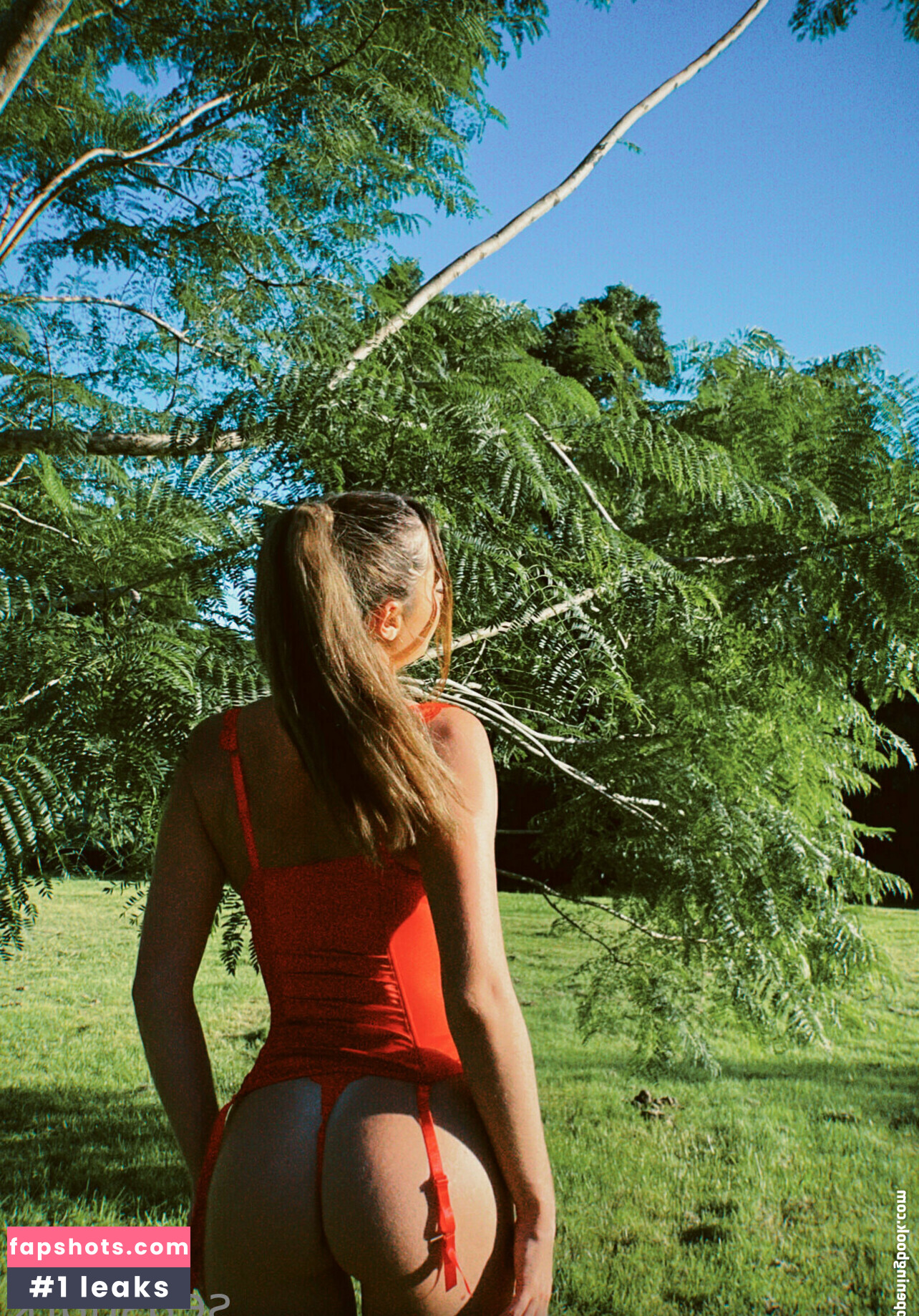 seasharkcensored Nude Leaks OnlyFans Photos #7 - LeakJerk