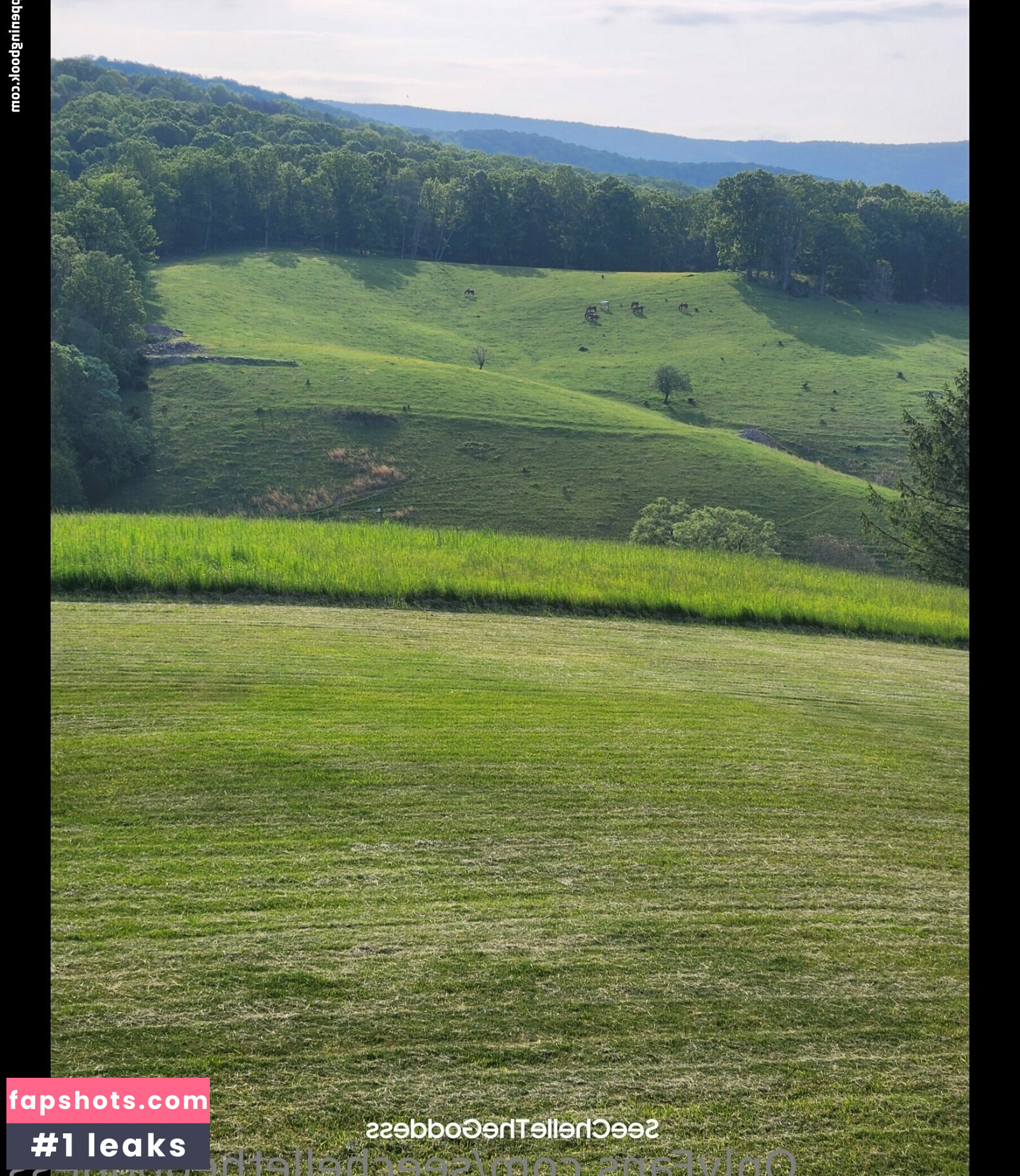 seechellethegoddess Nahé úniky fotek pouze od fanoušků #16 - Fapshots