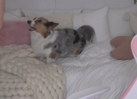 selti-1 gallery photo #633