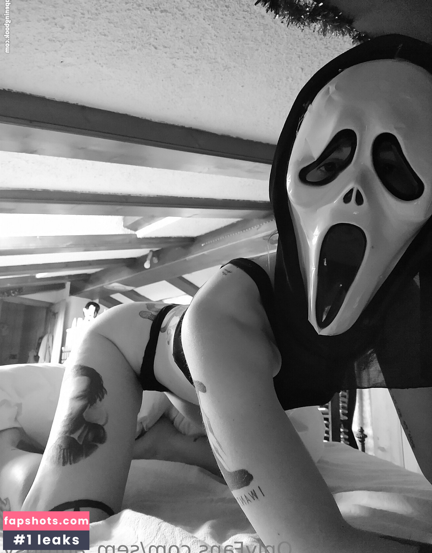 sem_autopsy gallery photo #15