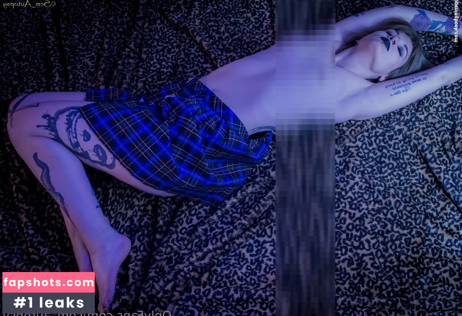 sem_autopsy gallery photo #5